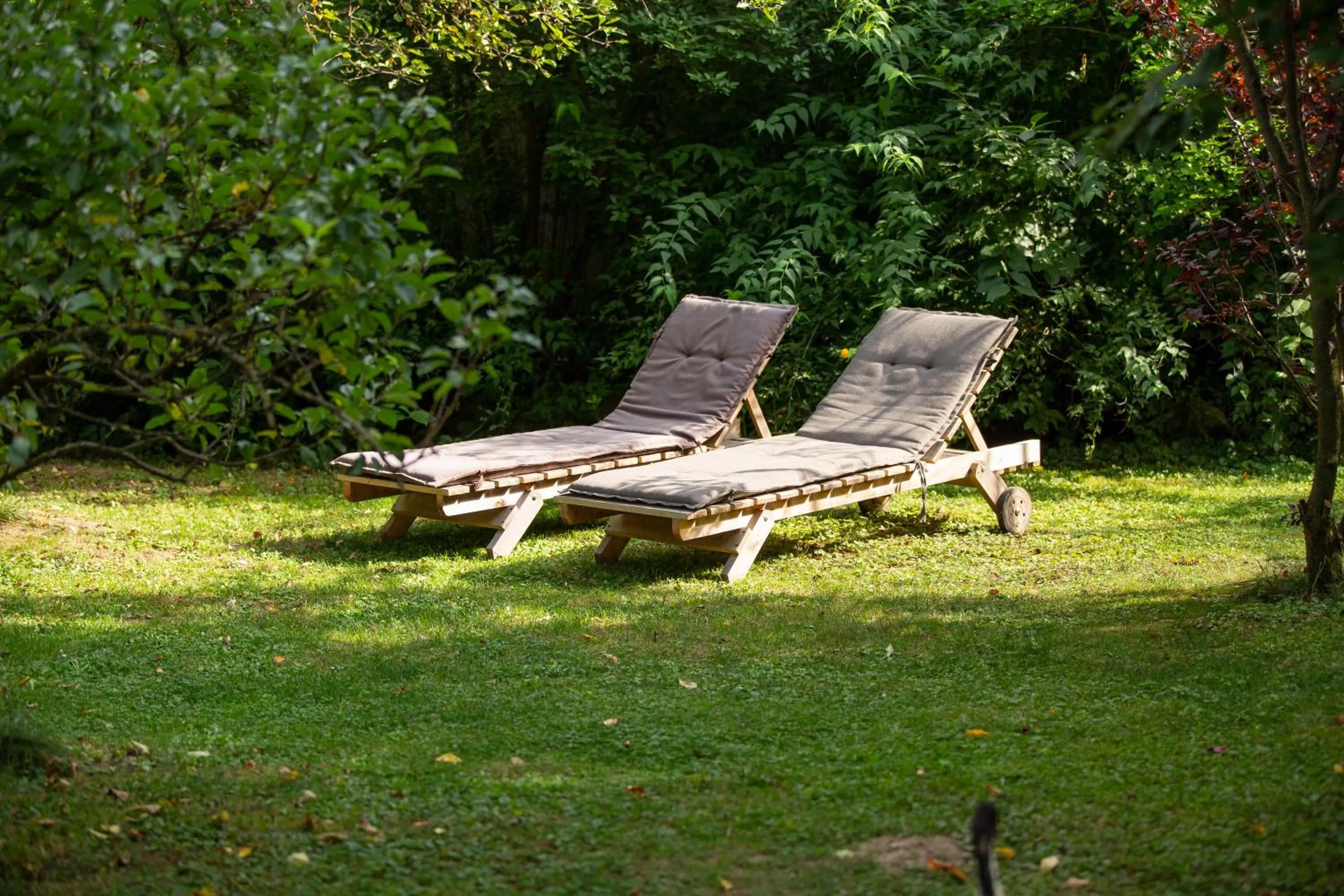 Garden in Casa Mosului - Transfăgărășan Bed & Breakfast