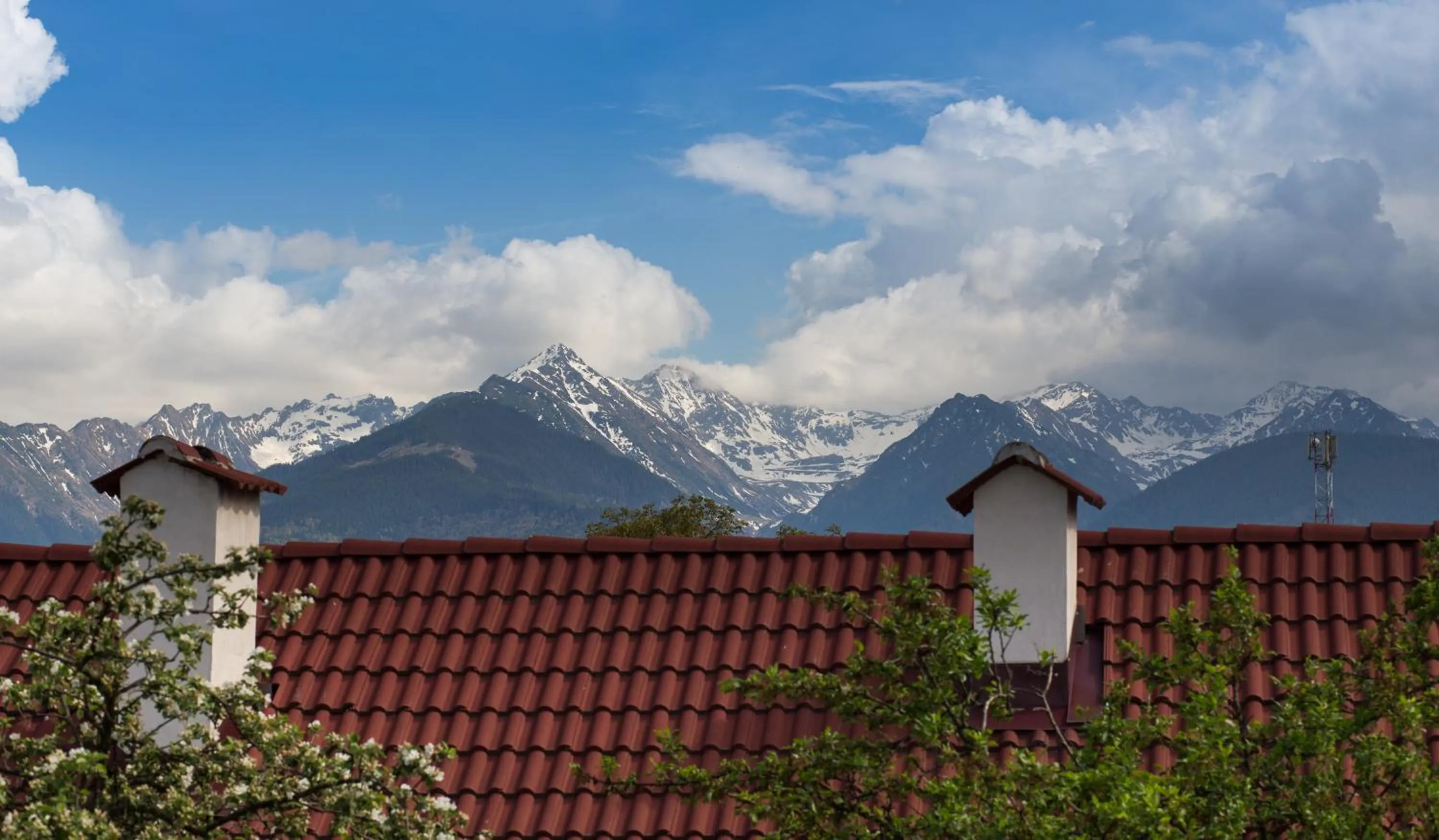Spring in Casa Mosului - Transfăgărășan Bed & Breakfast