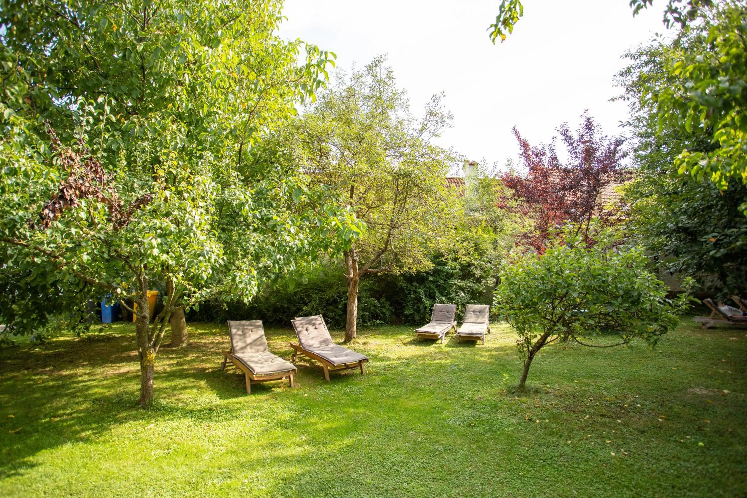 Garden in Casa Mosului - Transfăgărășan Bed & Breakfast