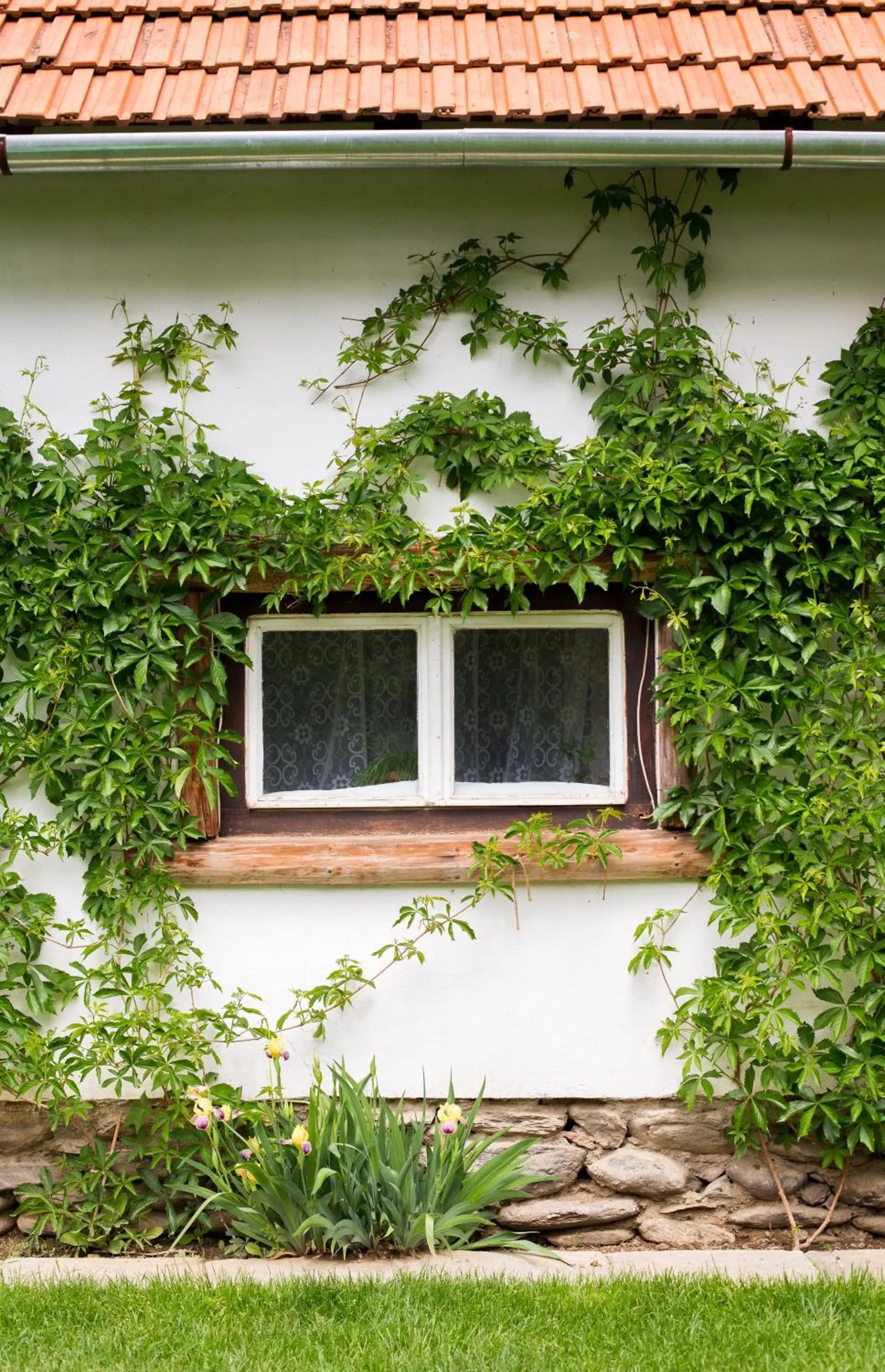 On site in Casa Mosului - Transfăgărășan Bed & Breakfast