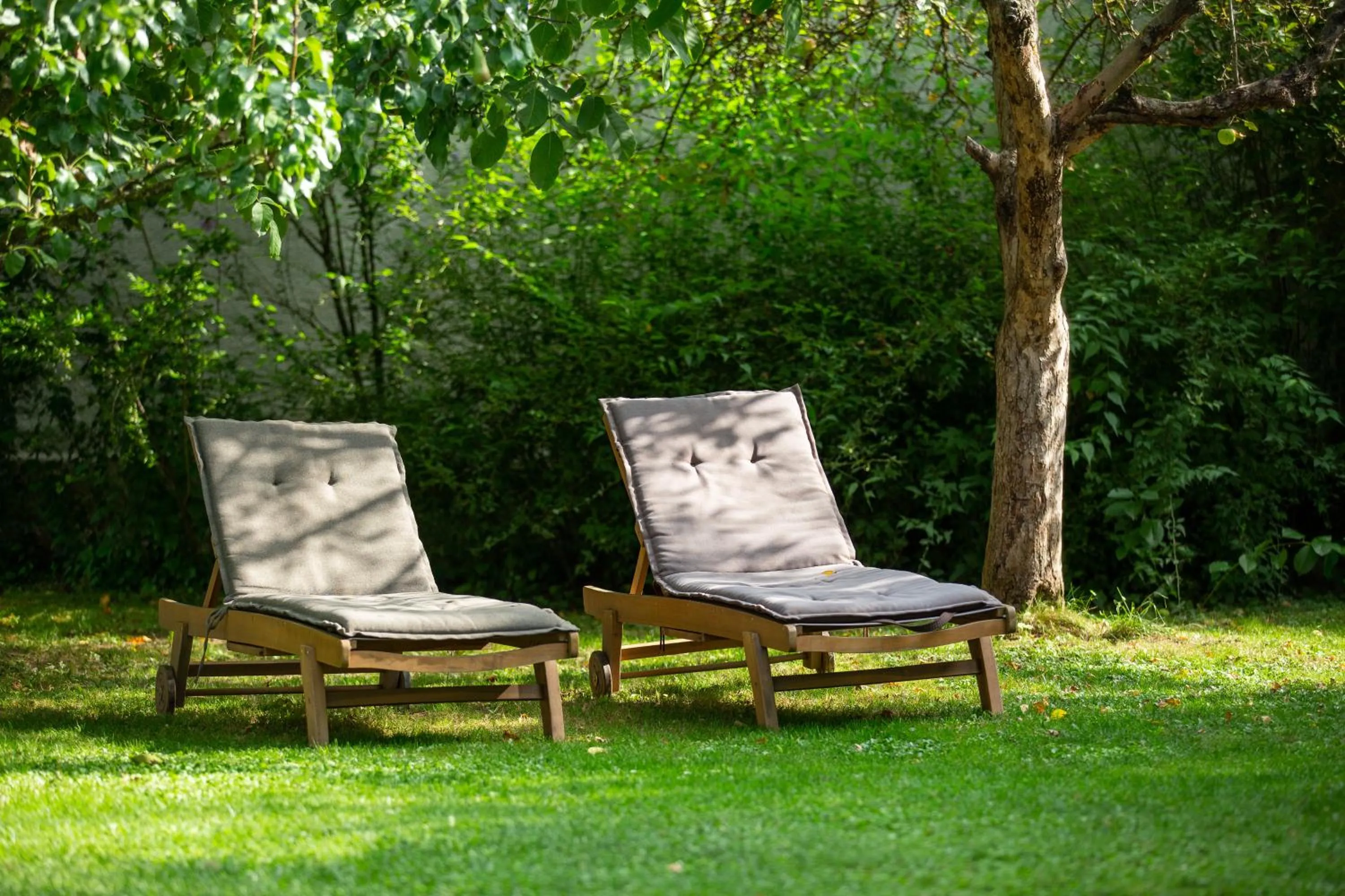 Garden in Casa Mosului - Transfăgărășan Bed & Breakfast