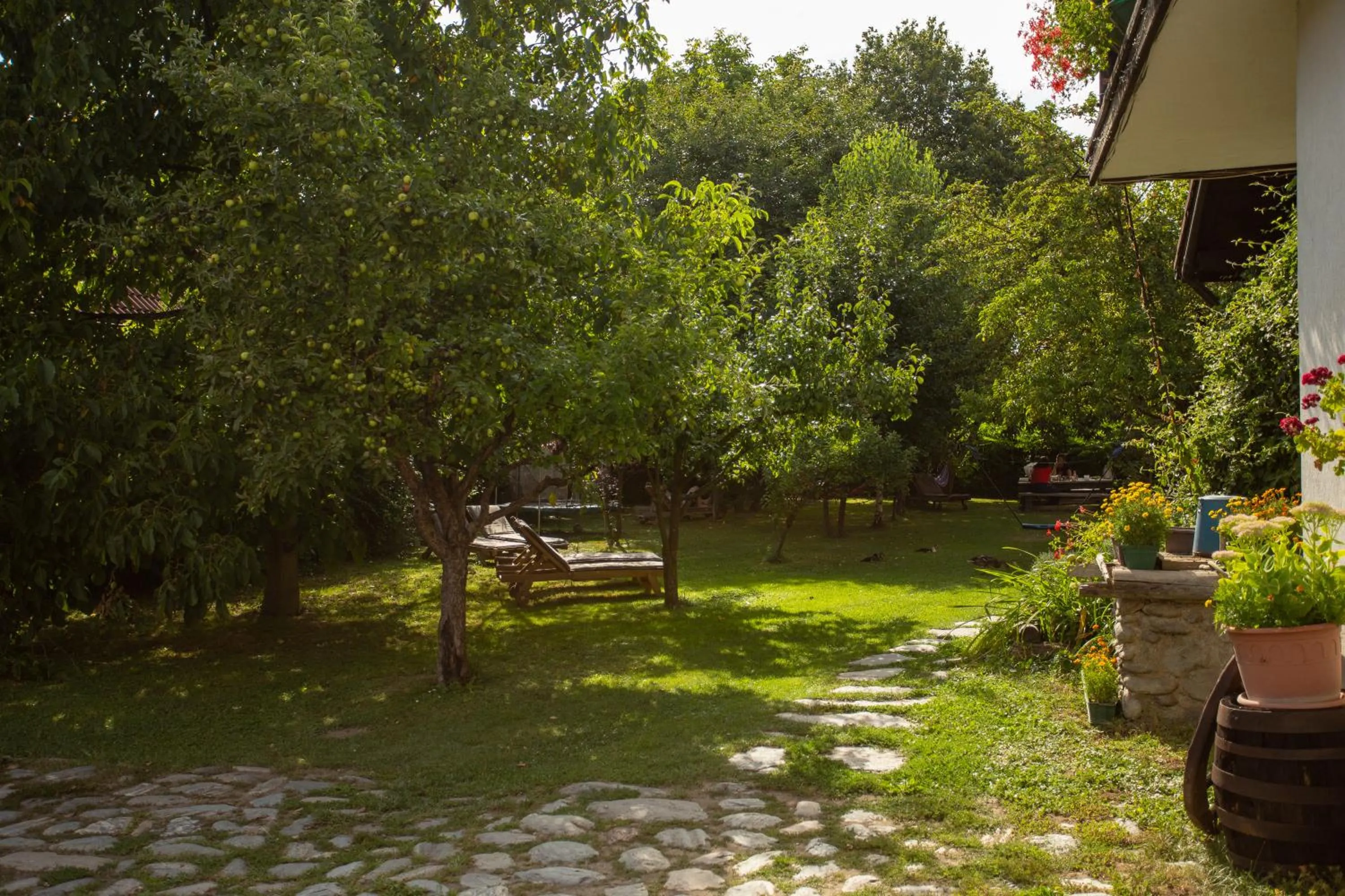 Garden in Casa Mosului - Transfăgărășan Bed & Breakfast