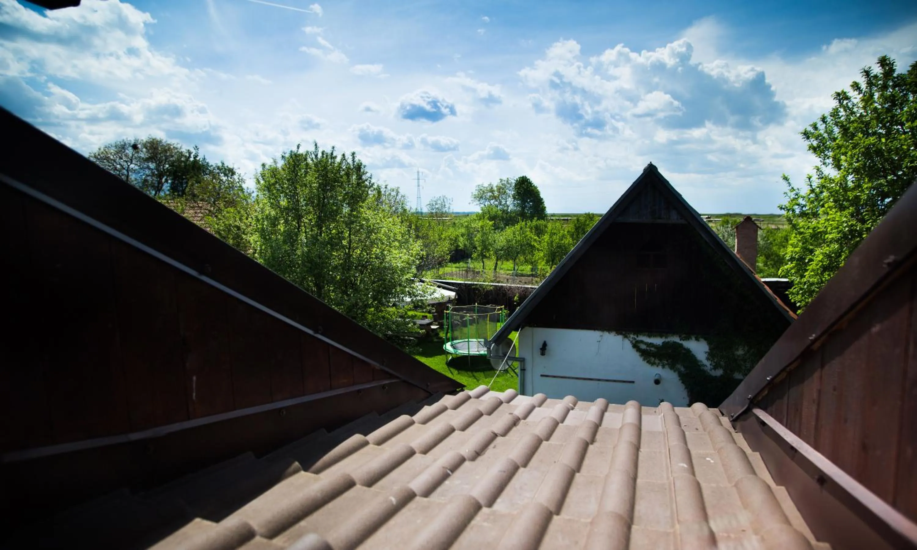 Garden view in Casa Mosului - Transfăgărășan Bed & Breakfast