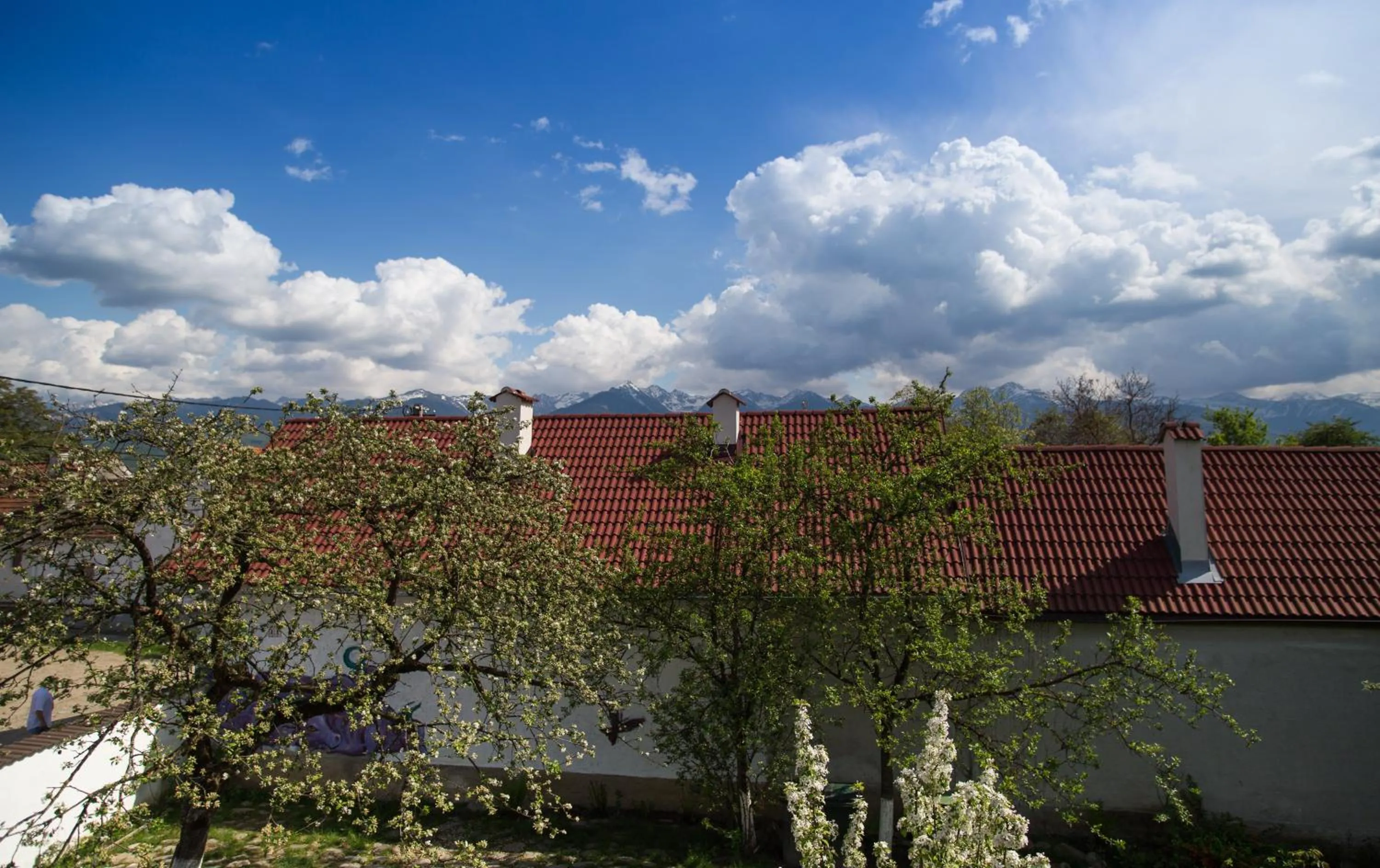 Mountain view in Casa Mosului - Transfăgărășan Bed & Breakfast