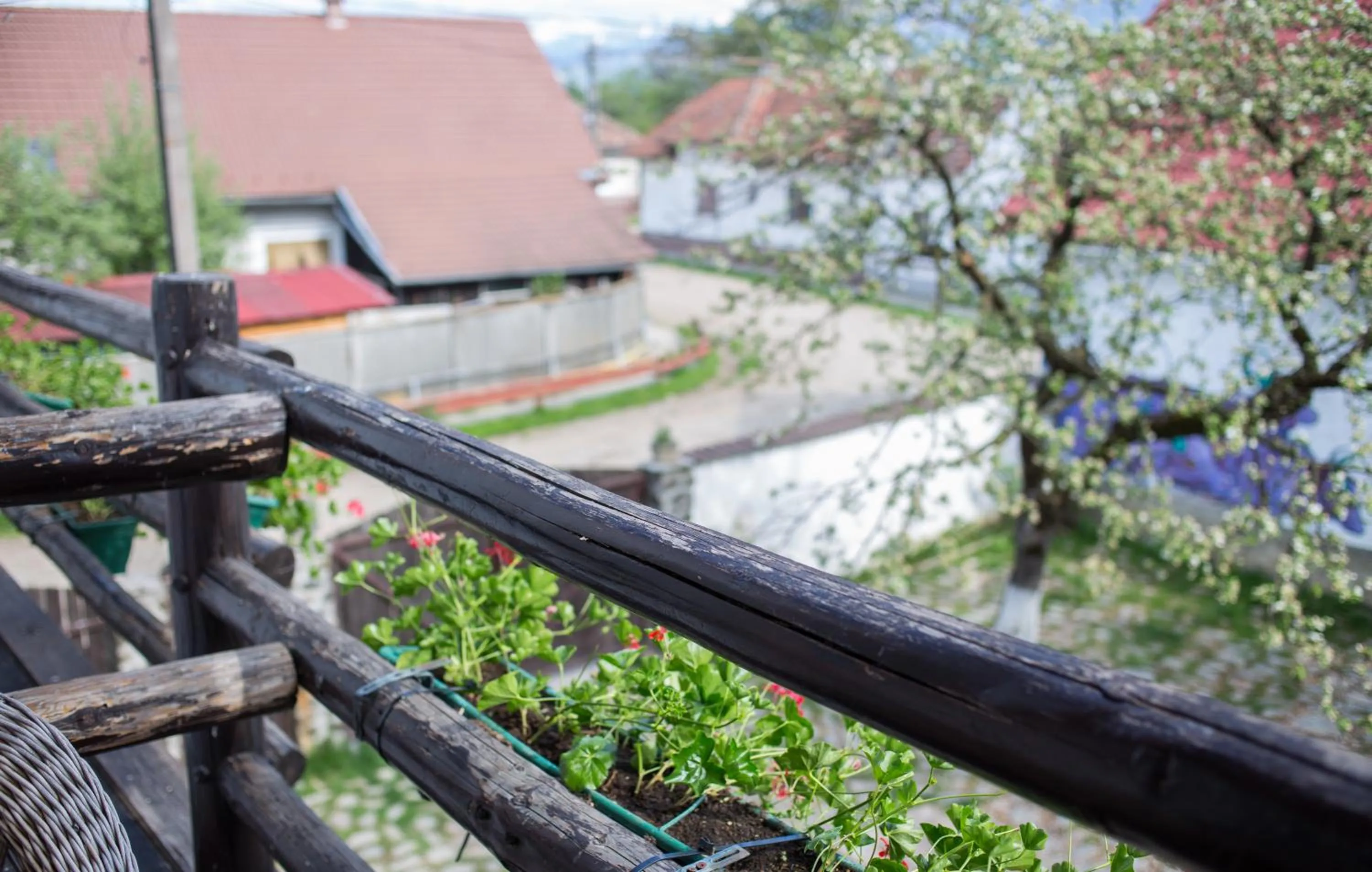 Balcony/Terrace in Casa Mosului - Transfăgărășan Bed & Breakfast