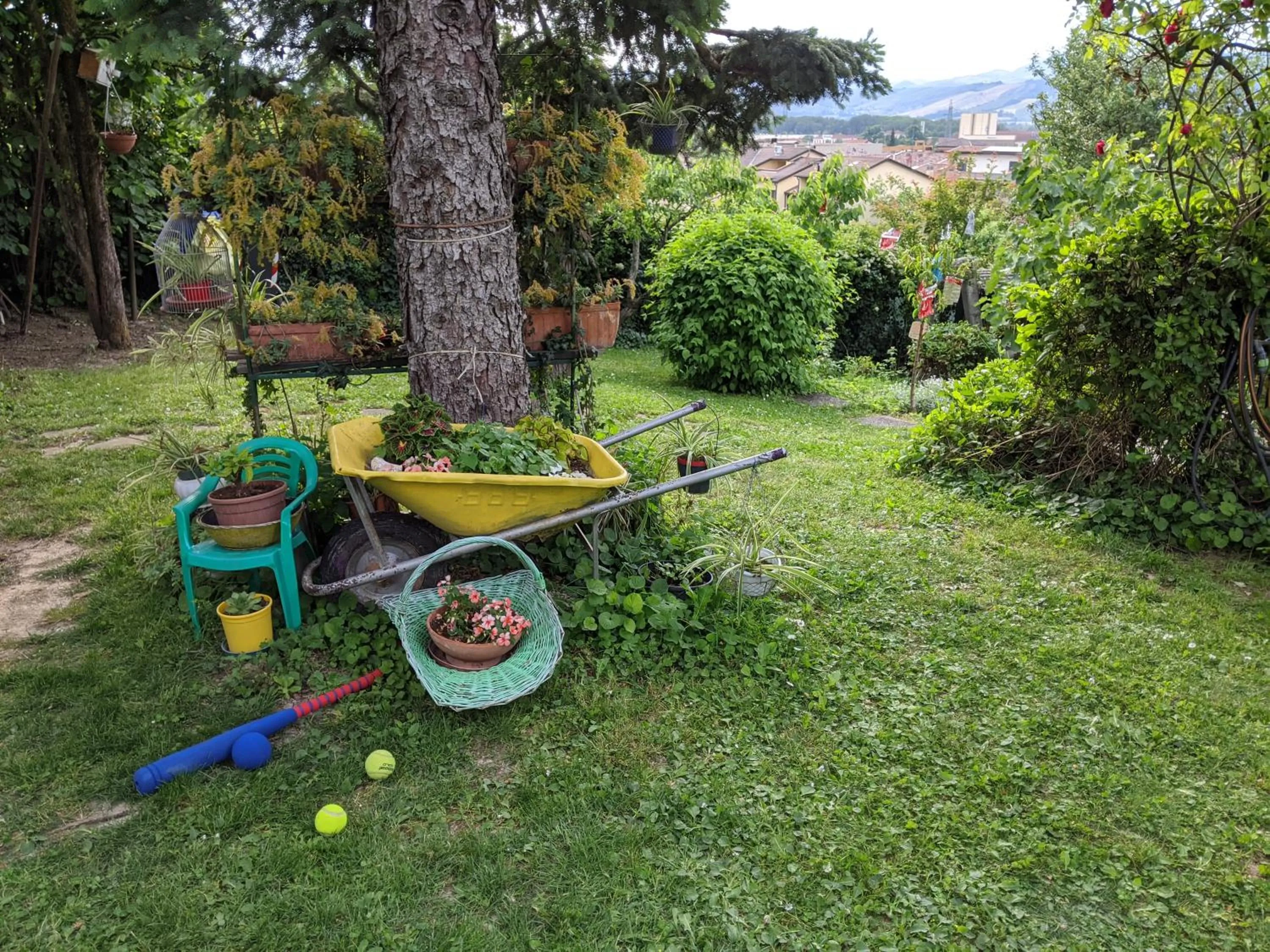 Garden in Nel giardino di Oz