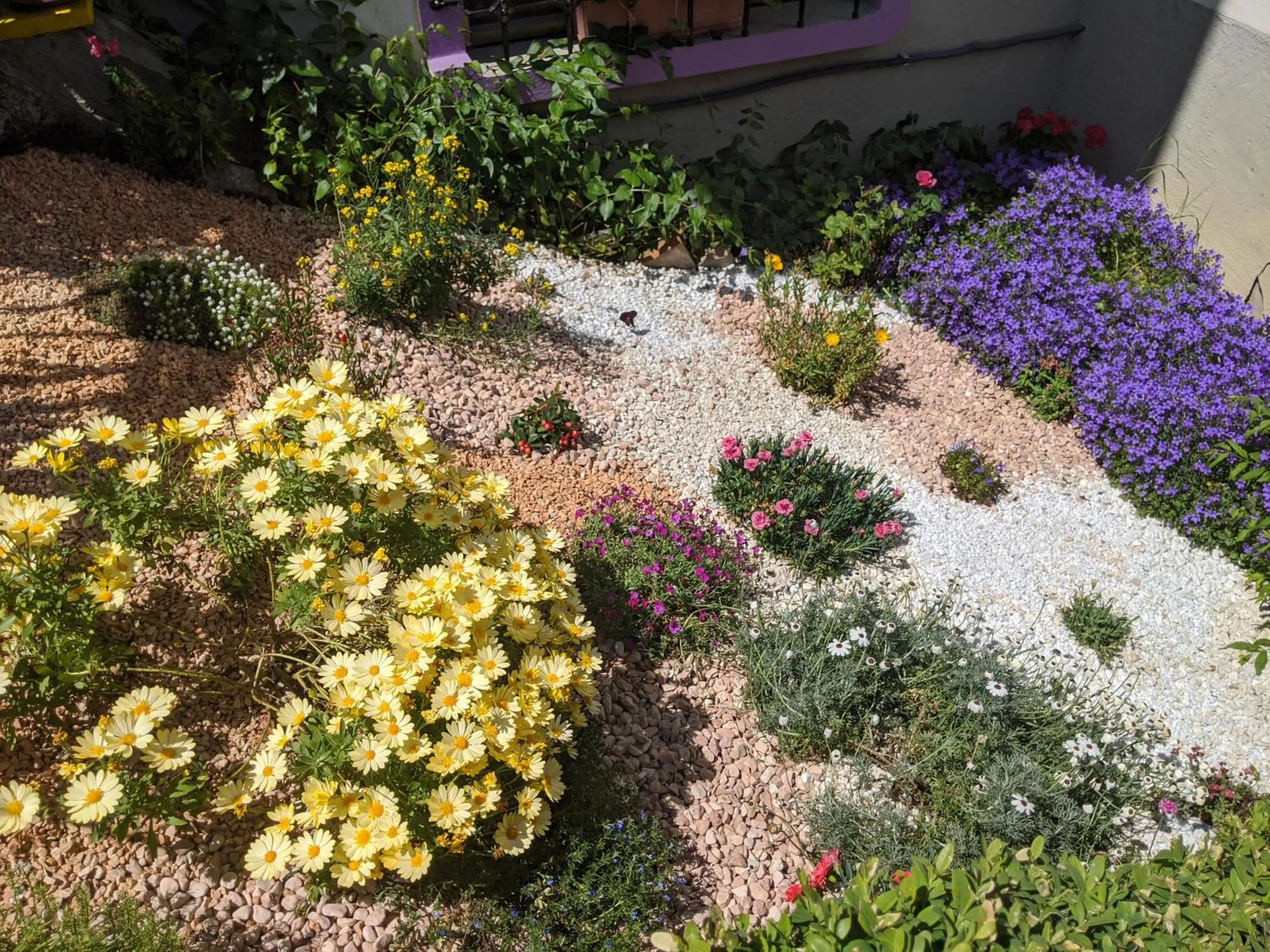 Spring in Nel giardino di Oz