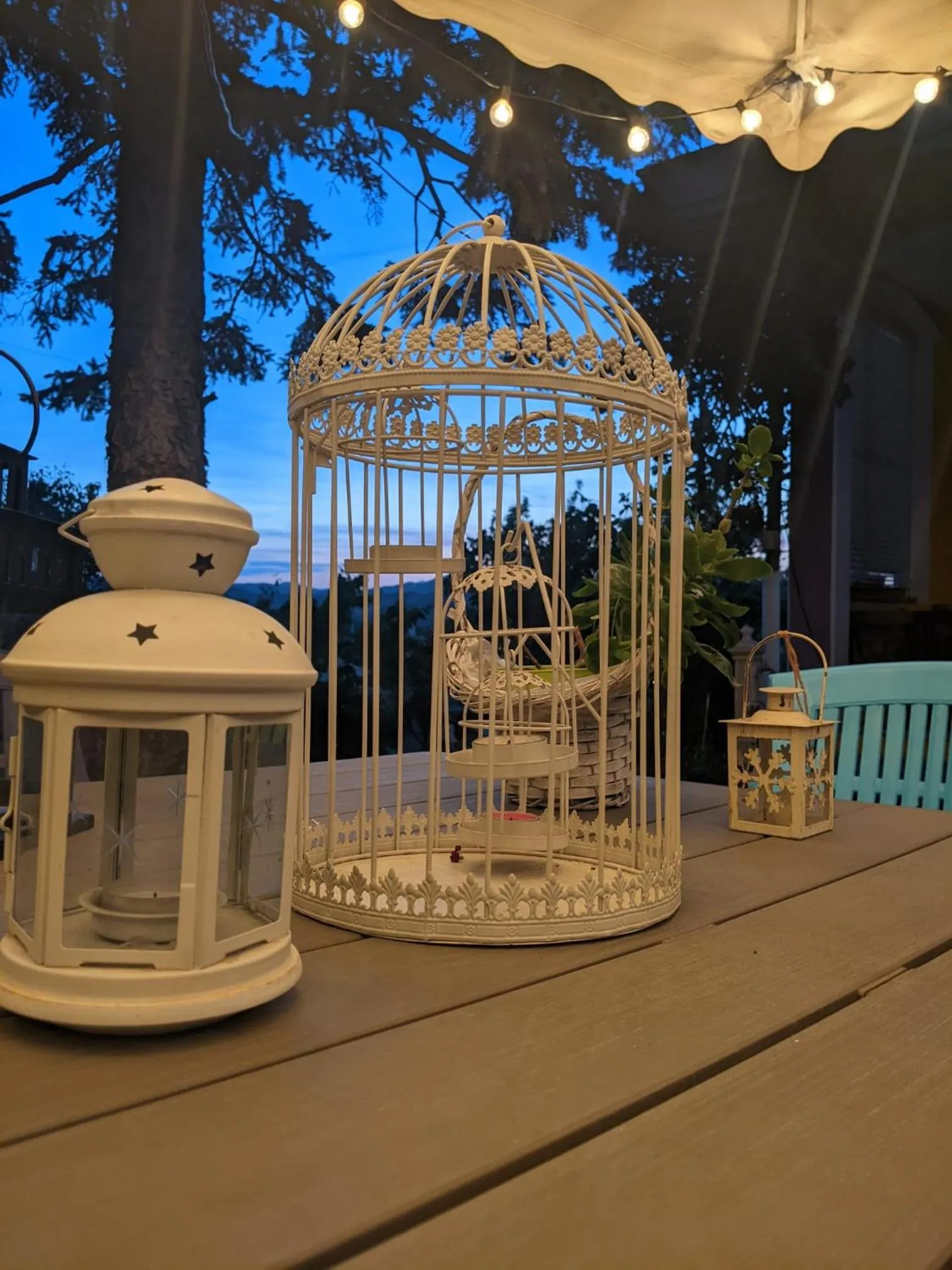 Garden in Nel giardino di Oz