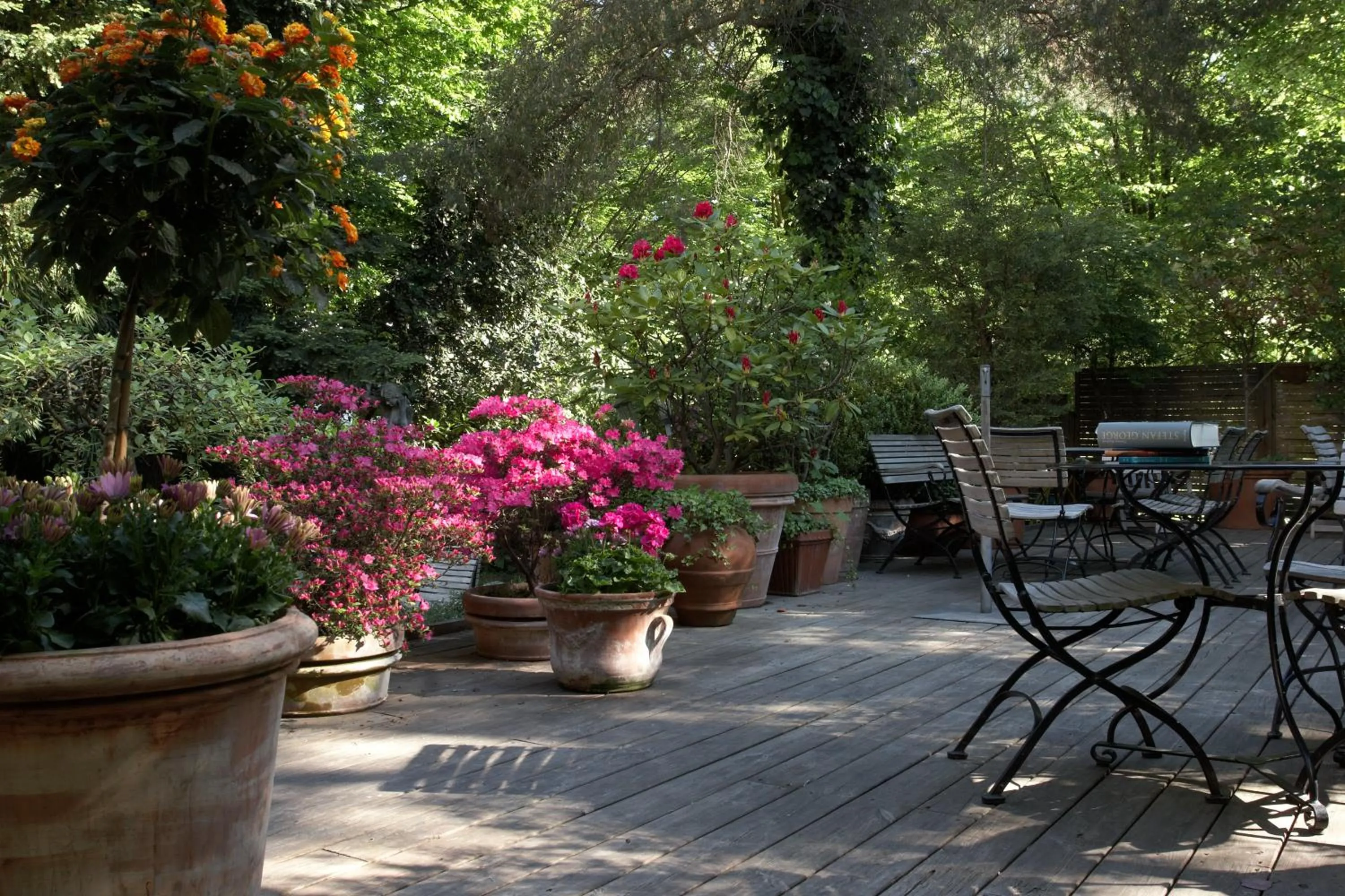 Balcony/Terrace in Wedina Serviced Apartments