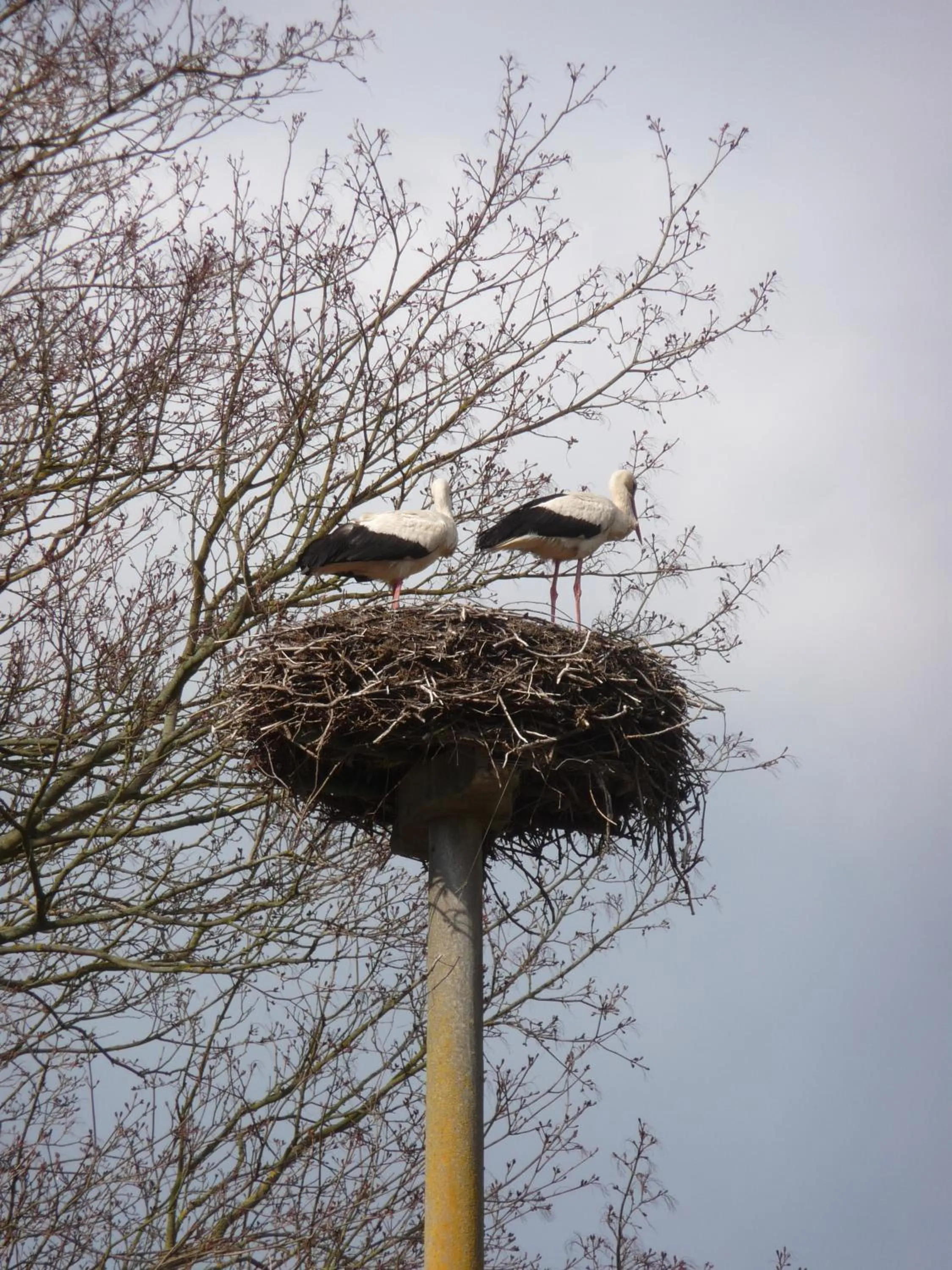 Children play ground in Kavaliershaus Schloß Blücher am Finckenersee