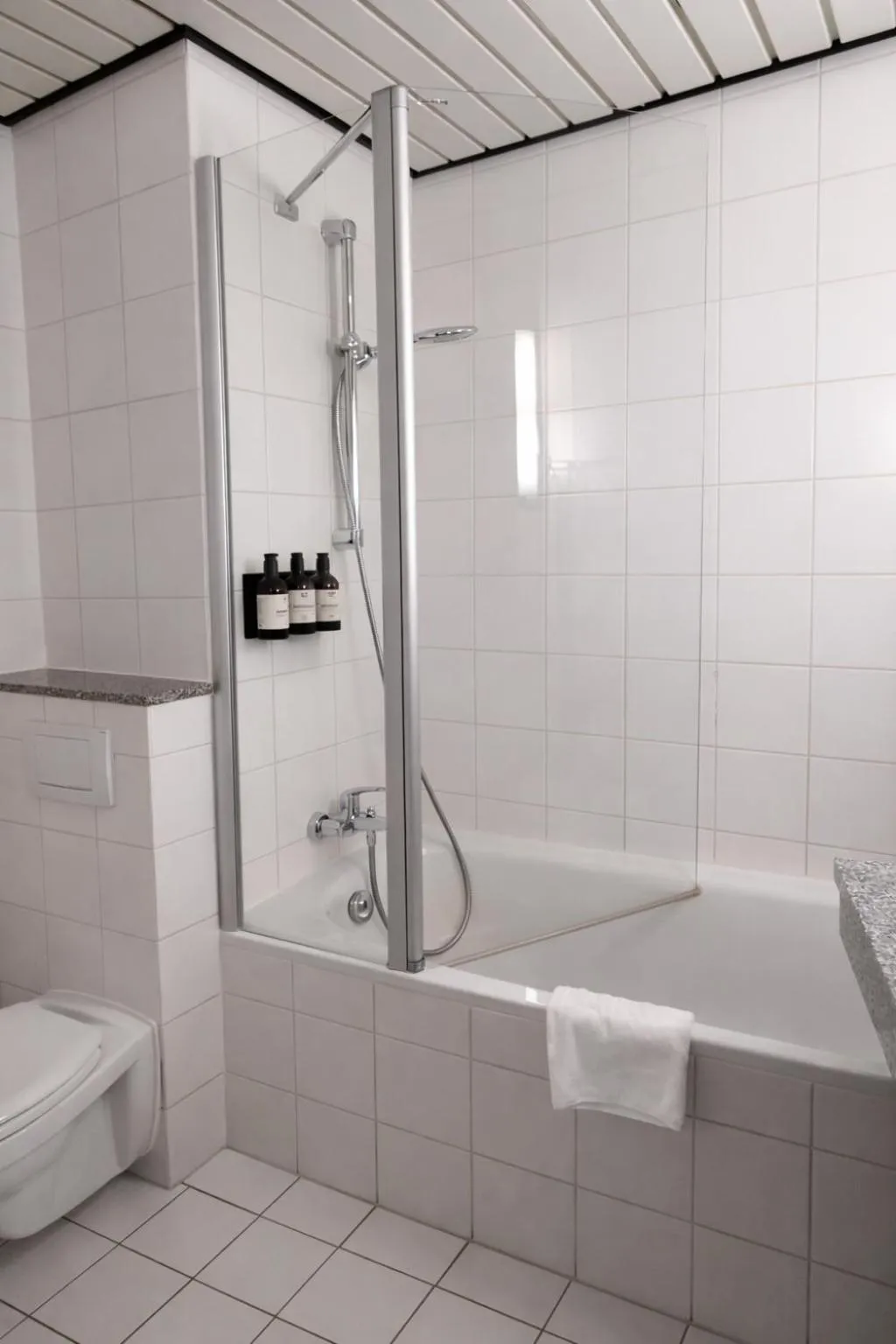 Toilet in Hotel Dresden Neustadt