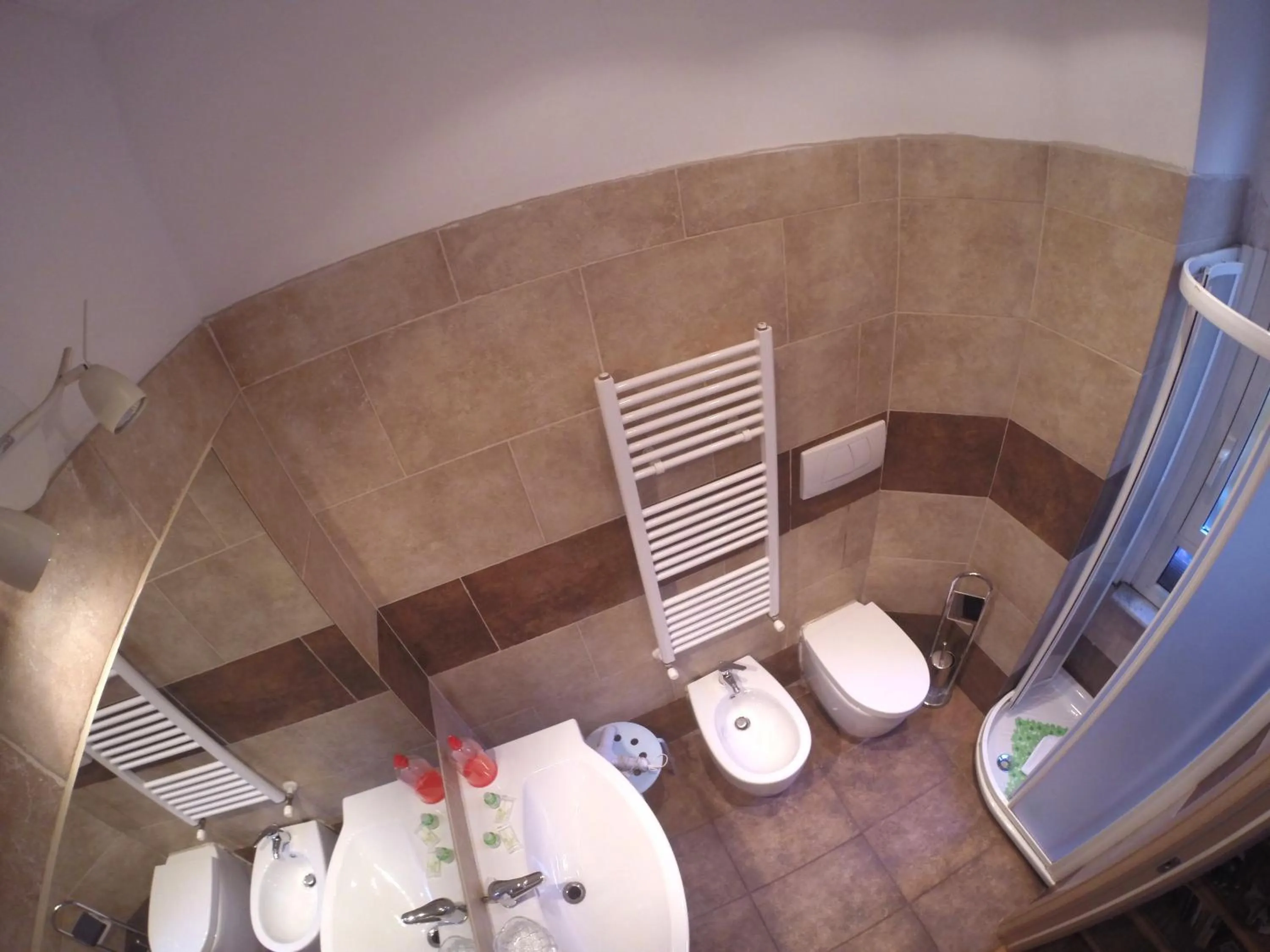 Shower in Daffodil in Roma San Pietro