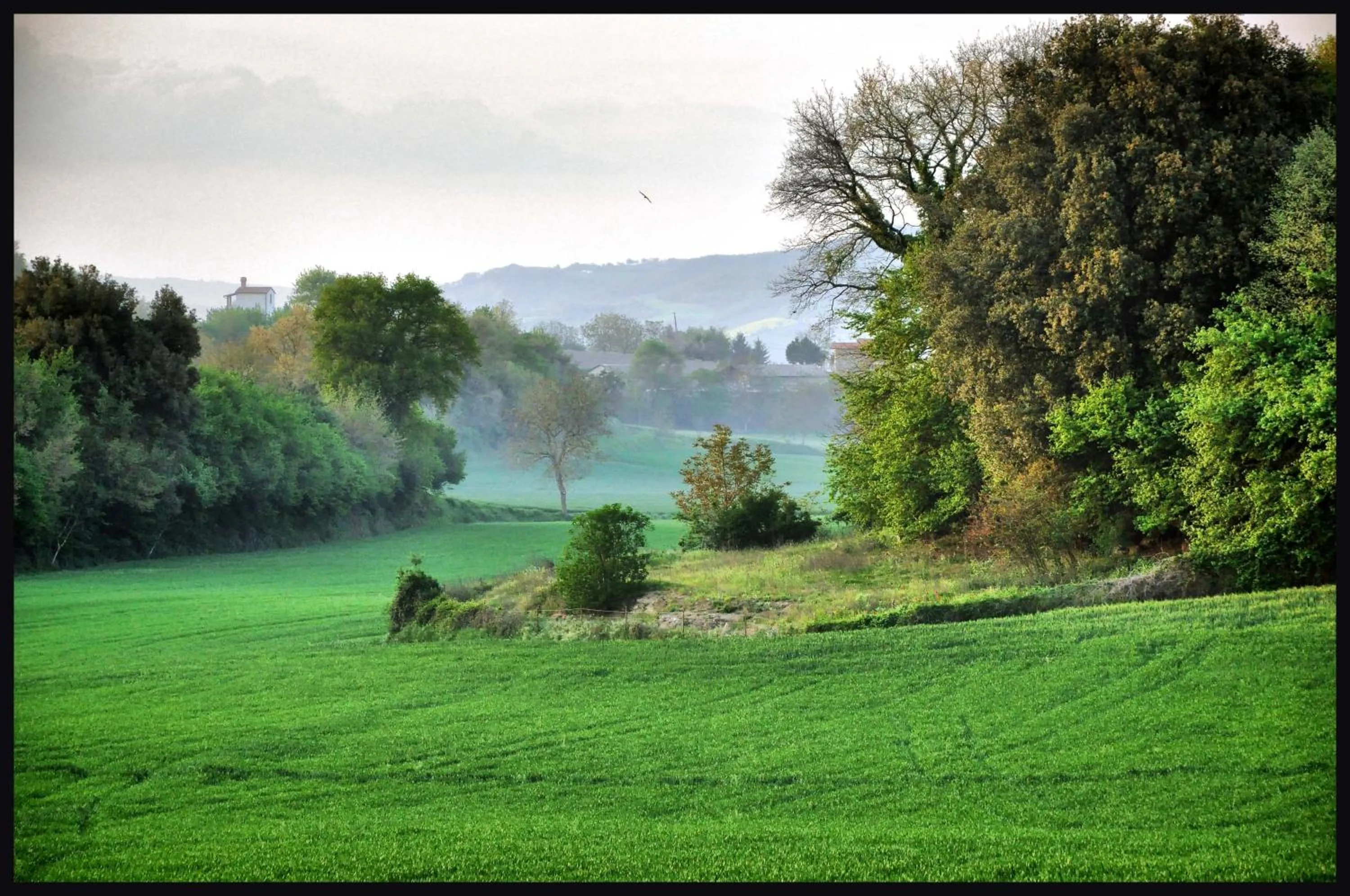 B&B Predio San Fernando