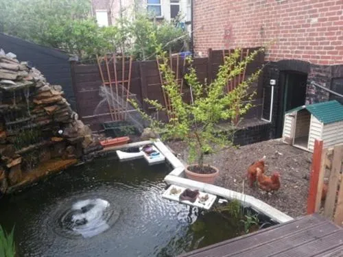 Pool view in Heavenly Nights Guest House