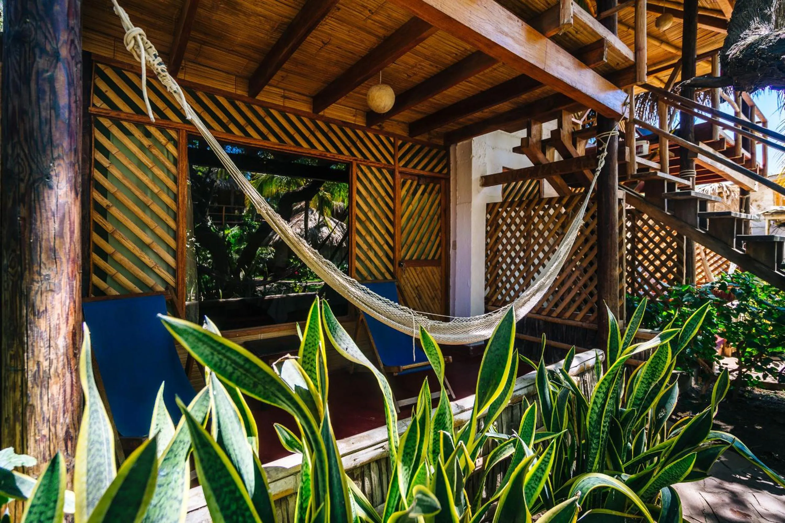 Balcony/Terrace in Kimbas Bungalows Mancora