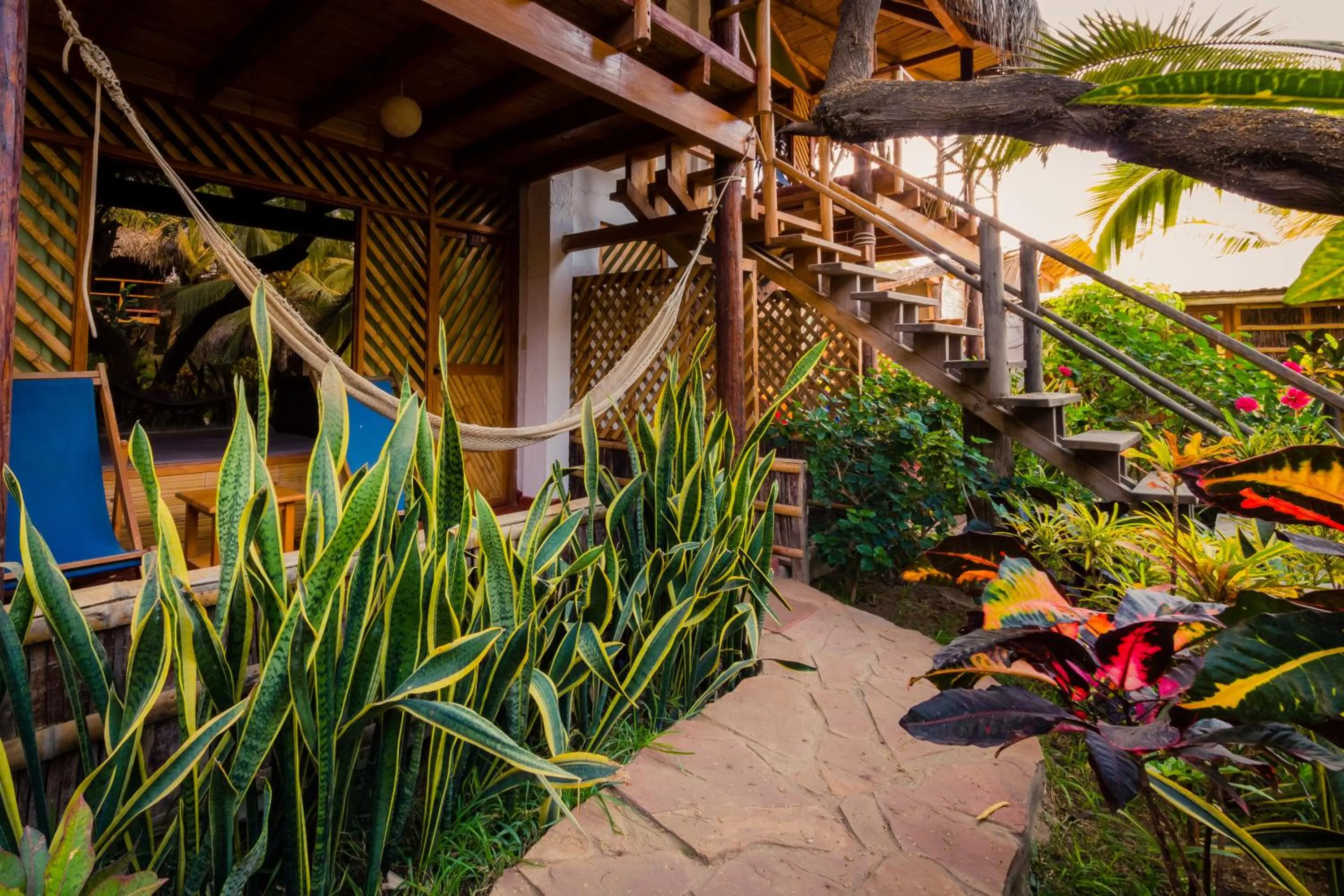 Photo of the whole room in Kimbas Bungalows Mancora