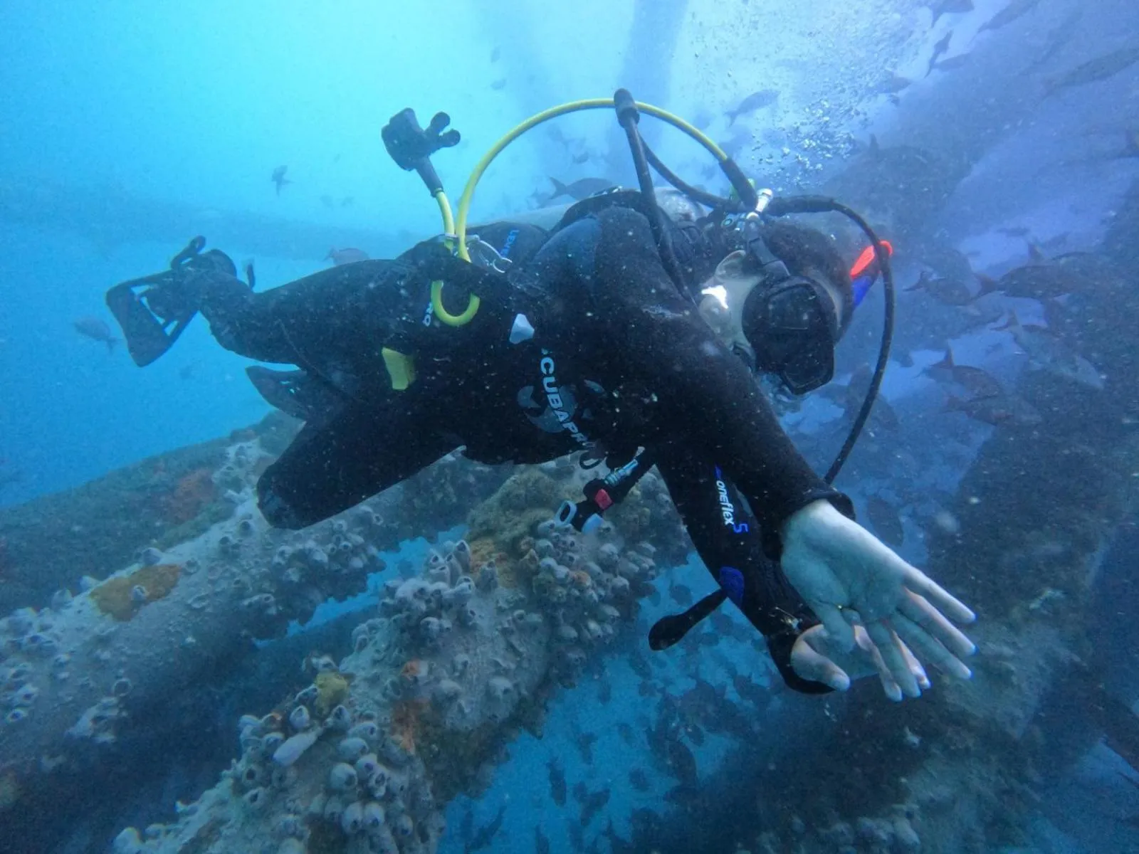 Diving in Kimbas Bungalows Mancora