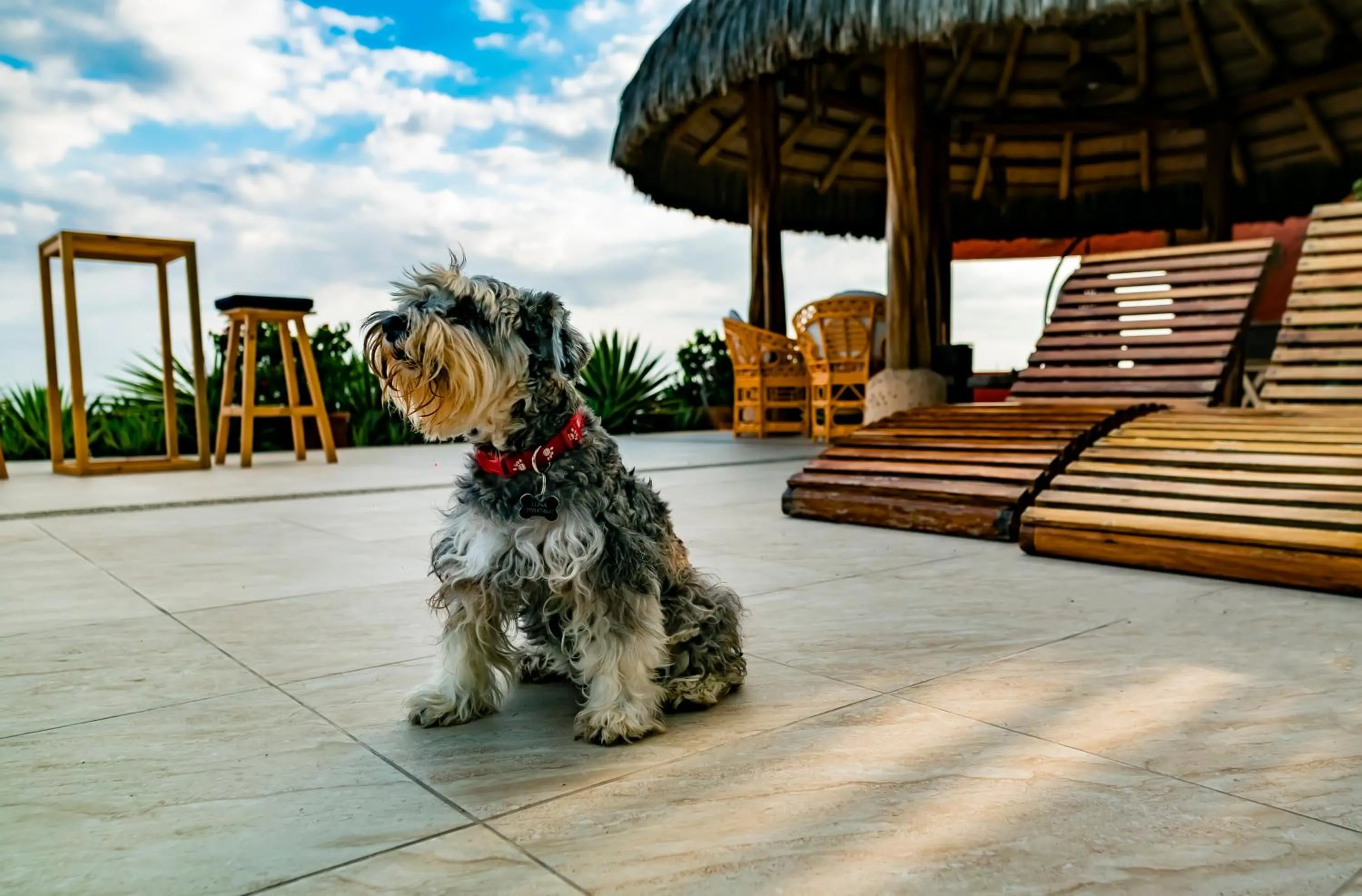 View (from property/room) in Hotel Boutique Playa Canela Ecuador