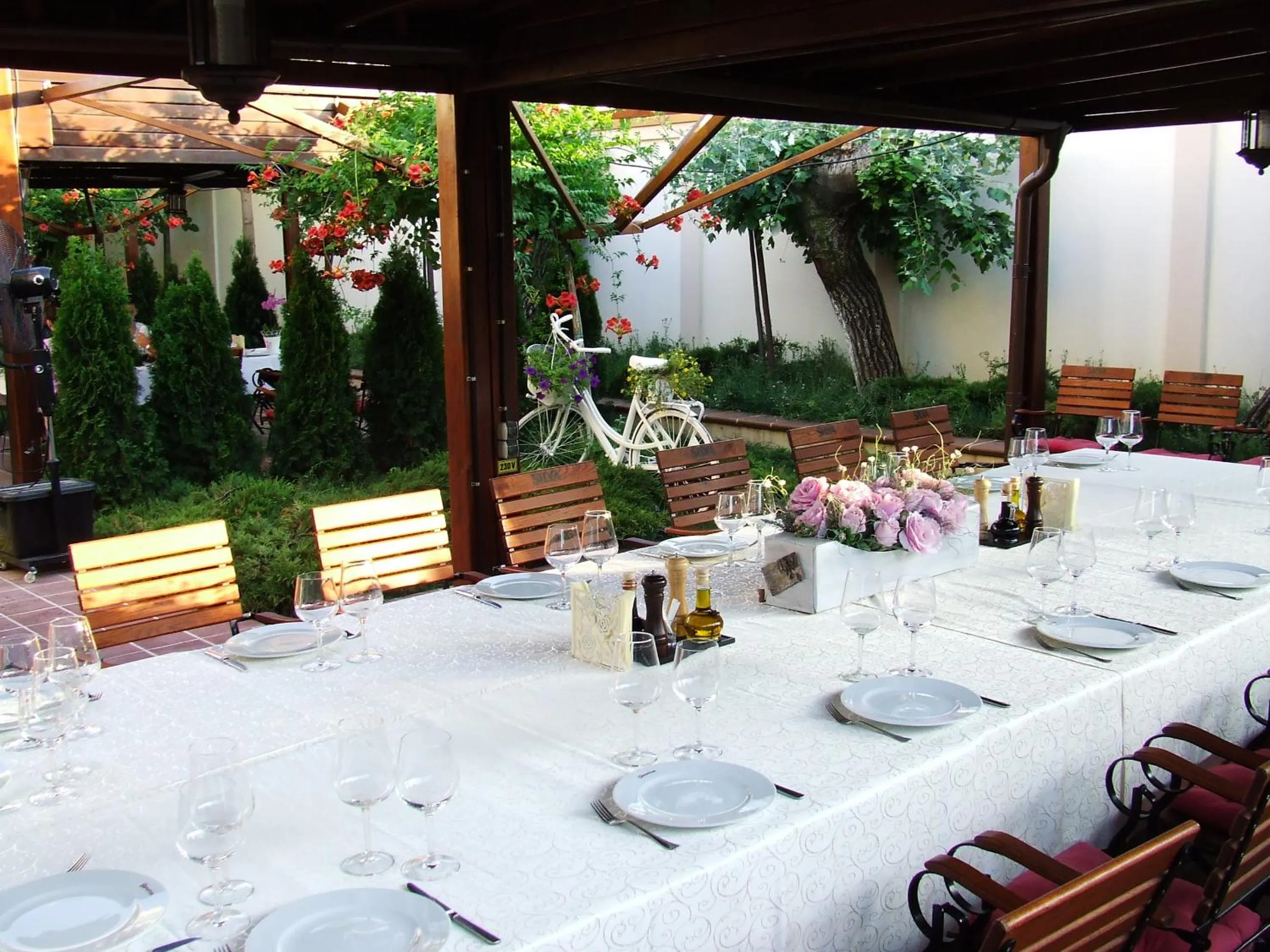 Restaurant/places to eat in Hotel Senator