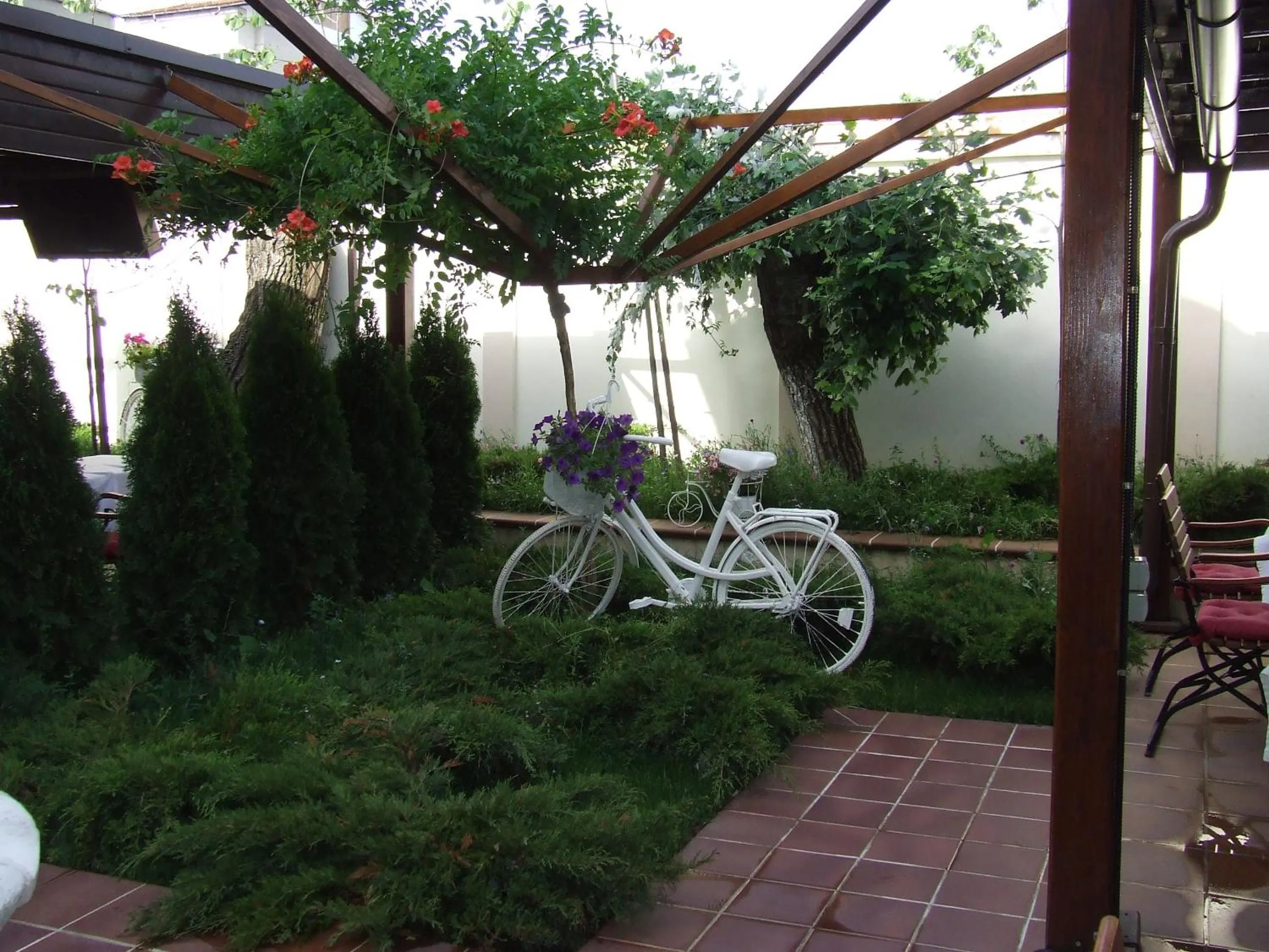 Restaurant/places to eat in Hotel Senator