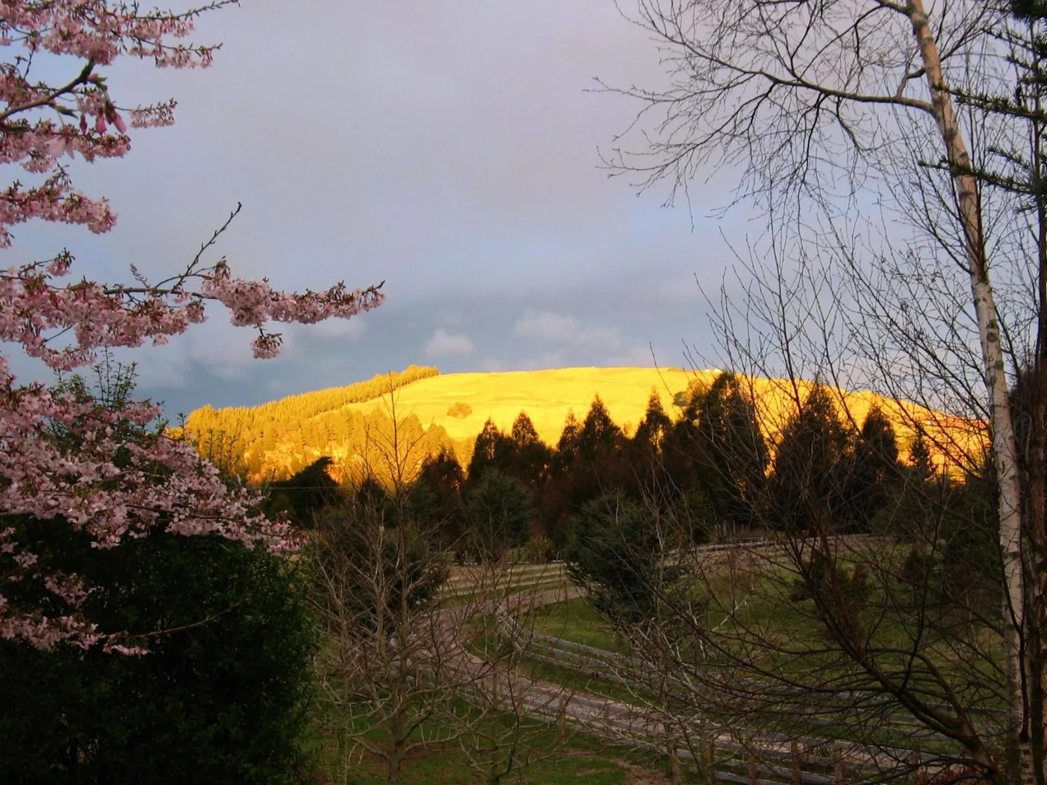 View (from property/room) in Whakaipo Lodge
