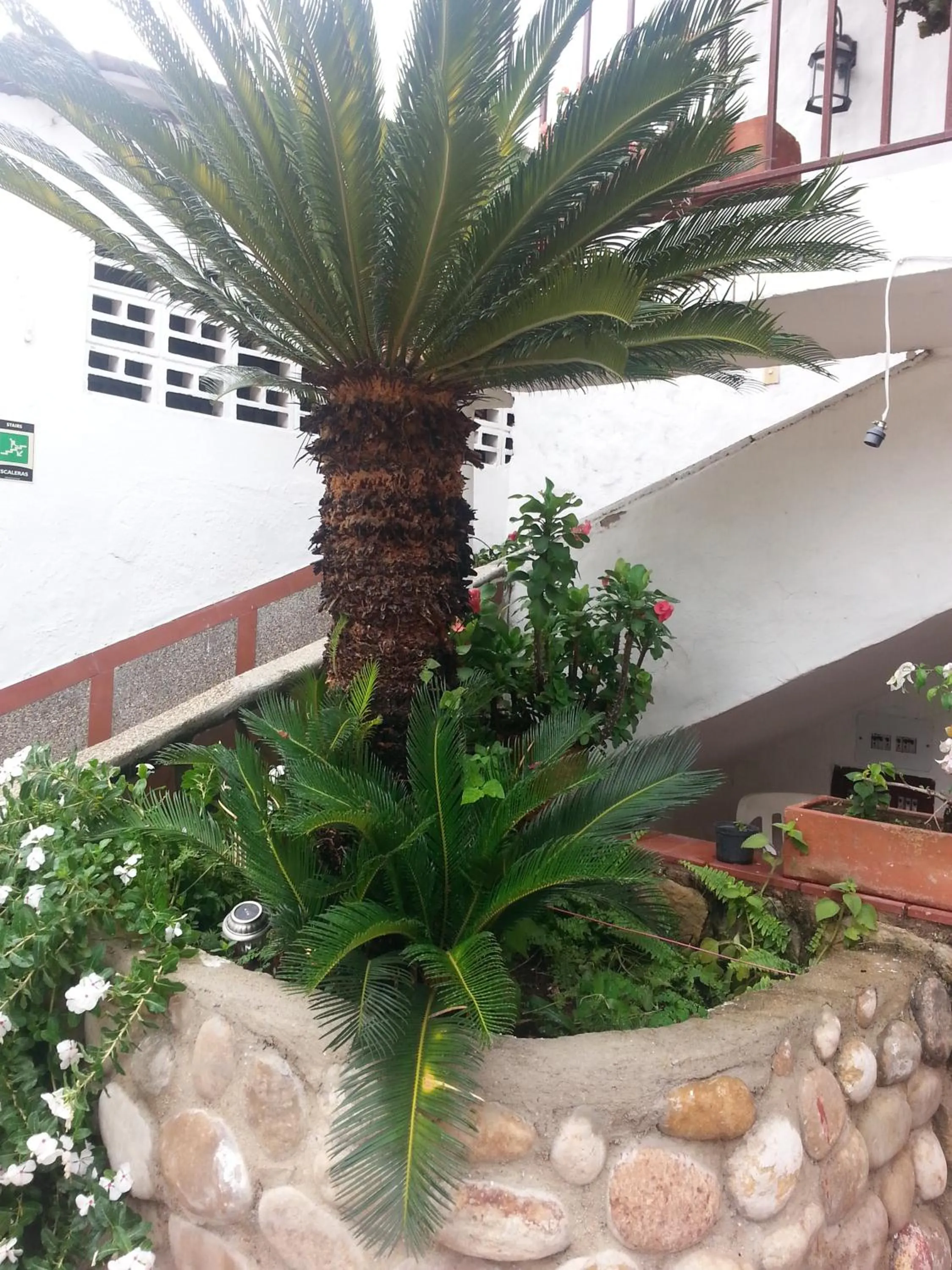 View (from property/room) in Hotel Villa Maritza