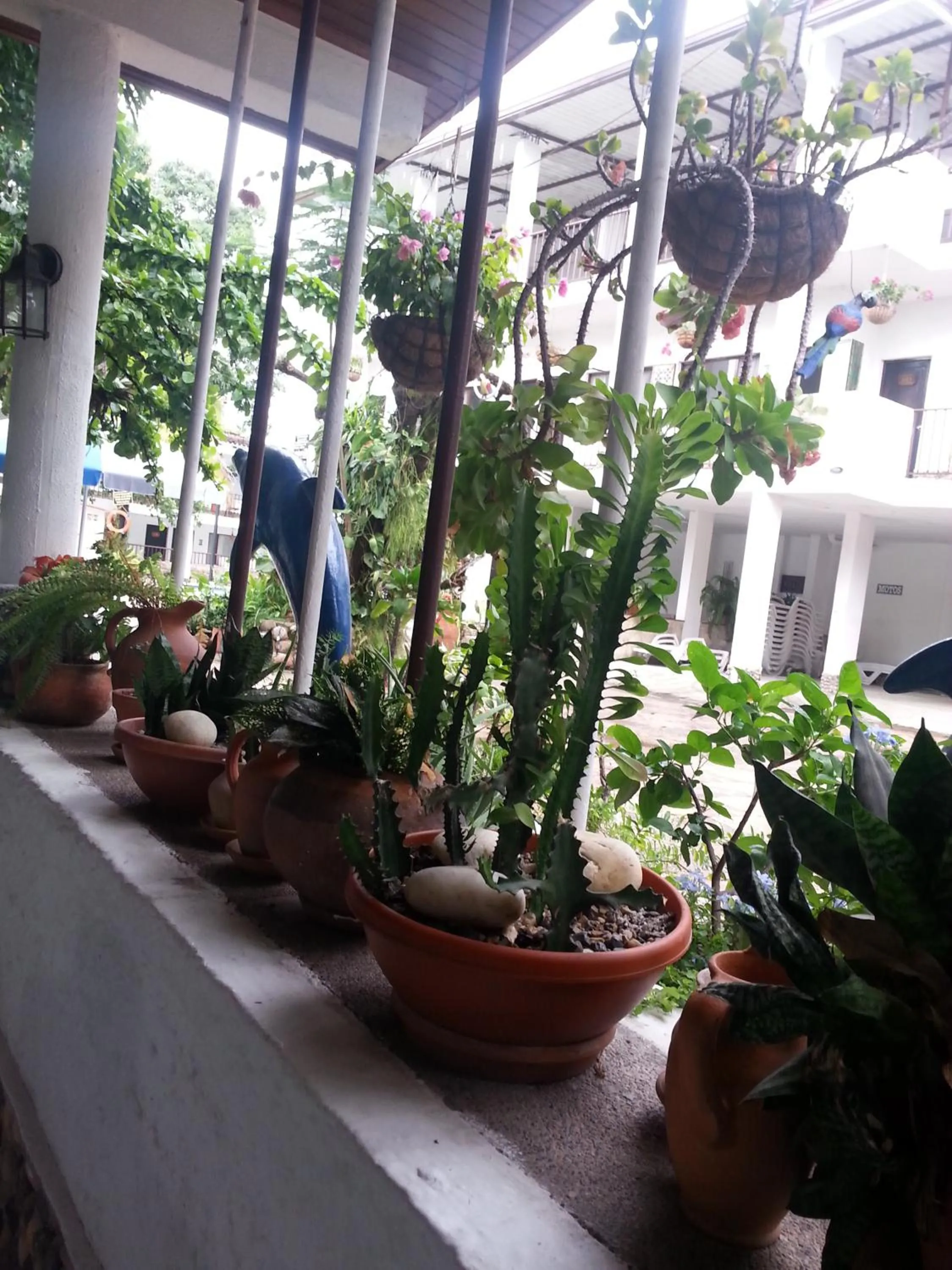 Garden in Hotel Villa Maritza