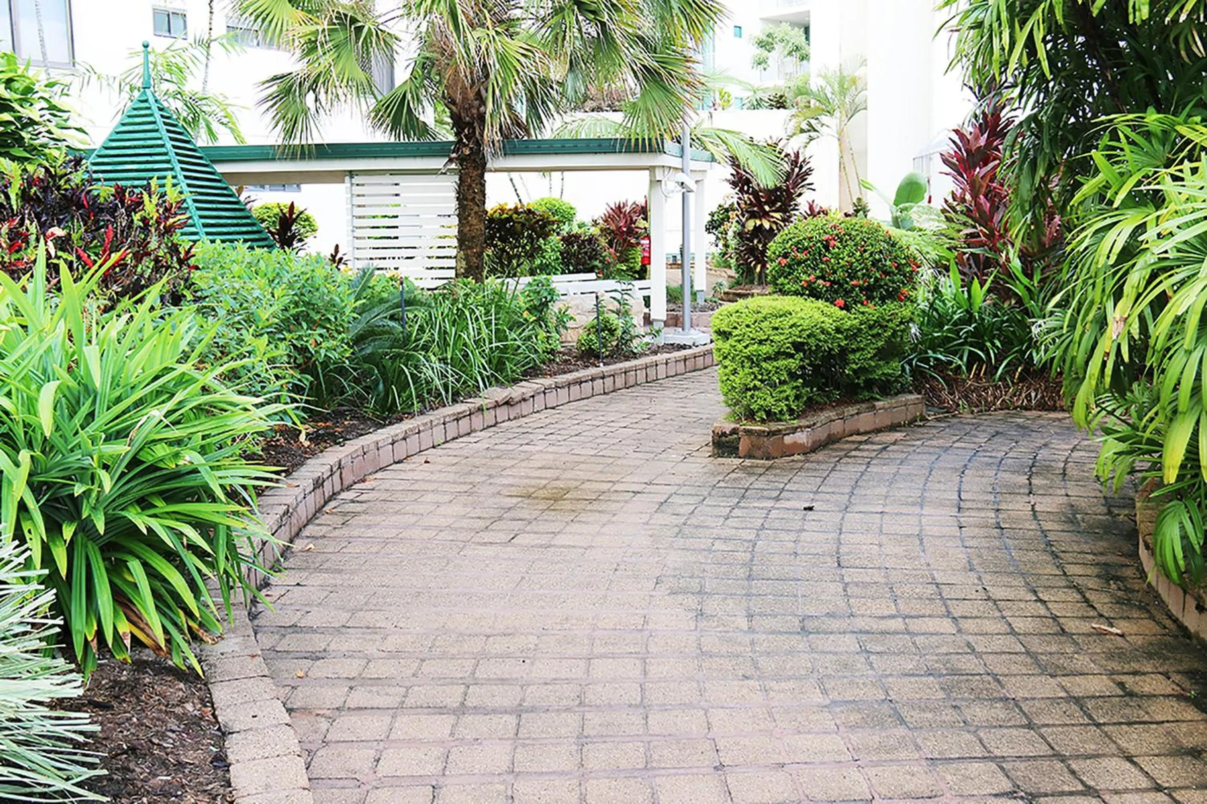 Garden in Cairns Aquarius