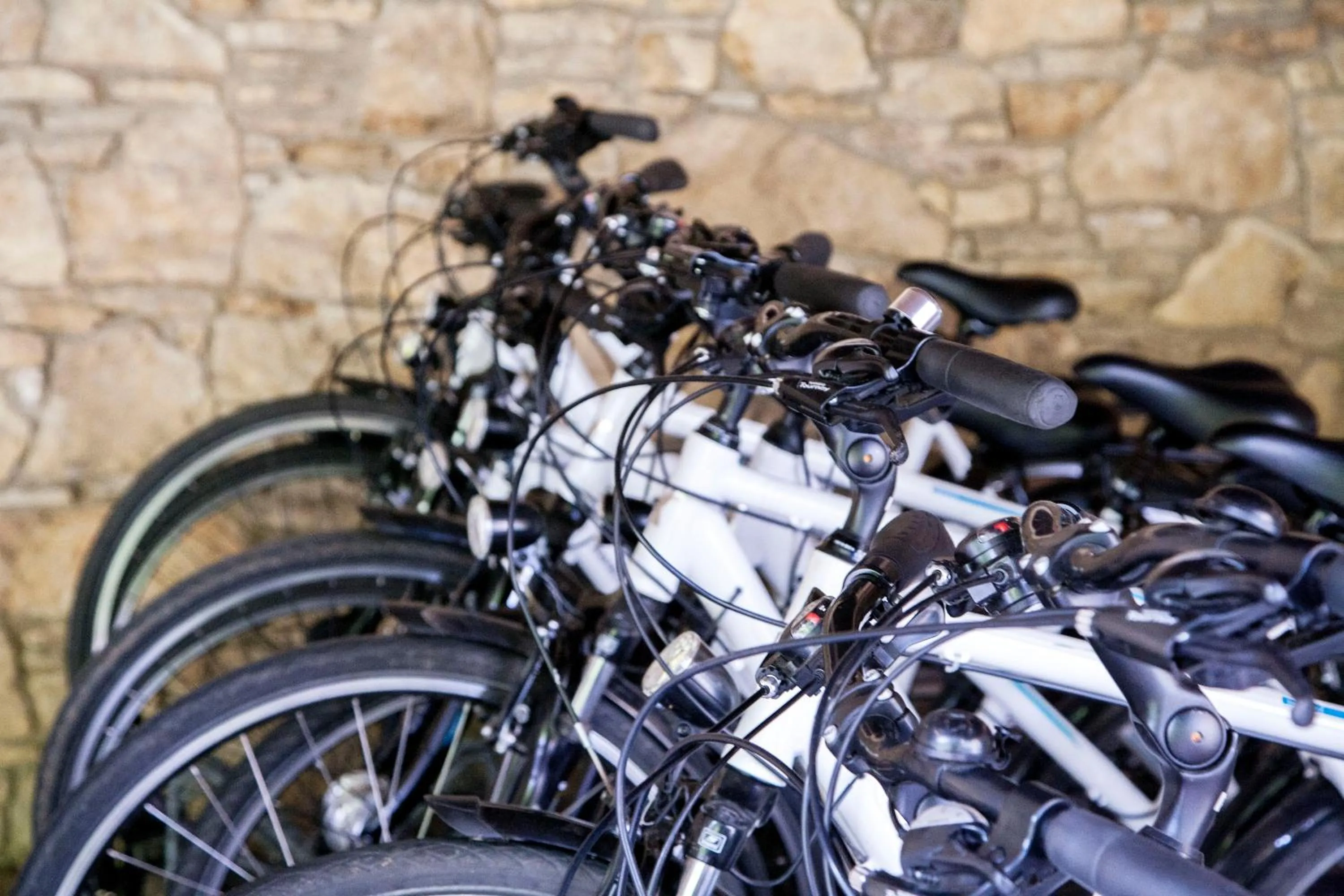 Cycling in Mercure Hotel Panorama Freiburg
