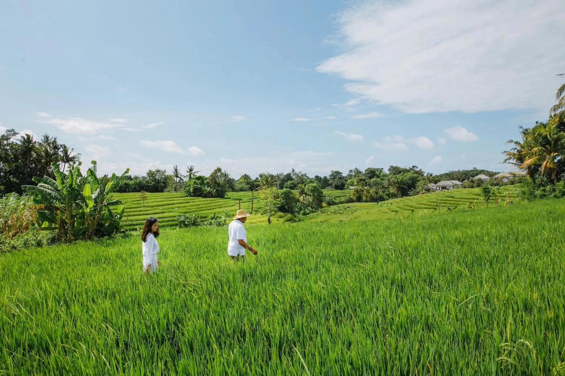 View (from property/room) in Nyanyi Sanctuary Villa Tabanan by Ini Vie Hospitality