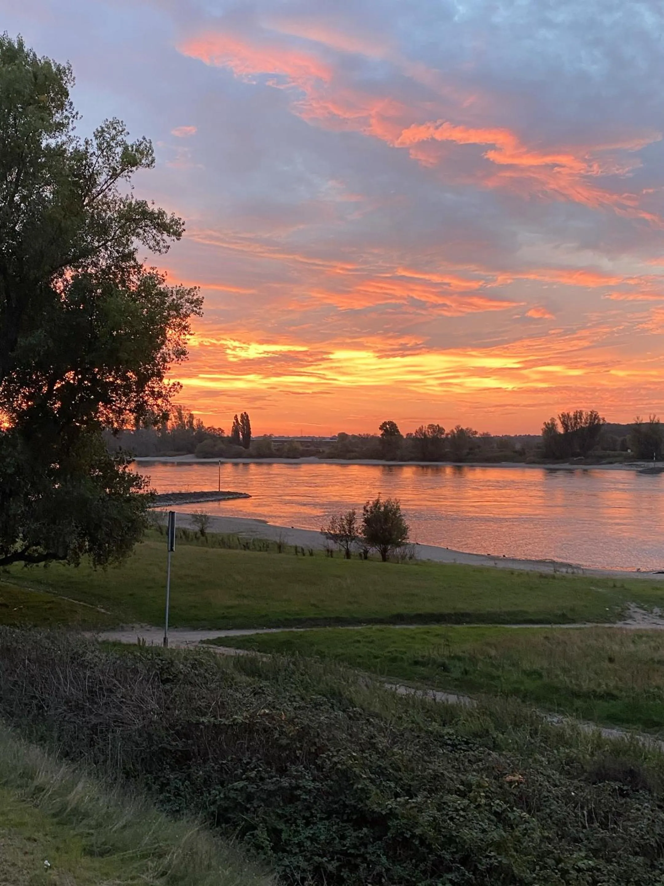 View (from property/room) in Hotel Fährhaus km734