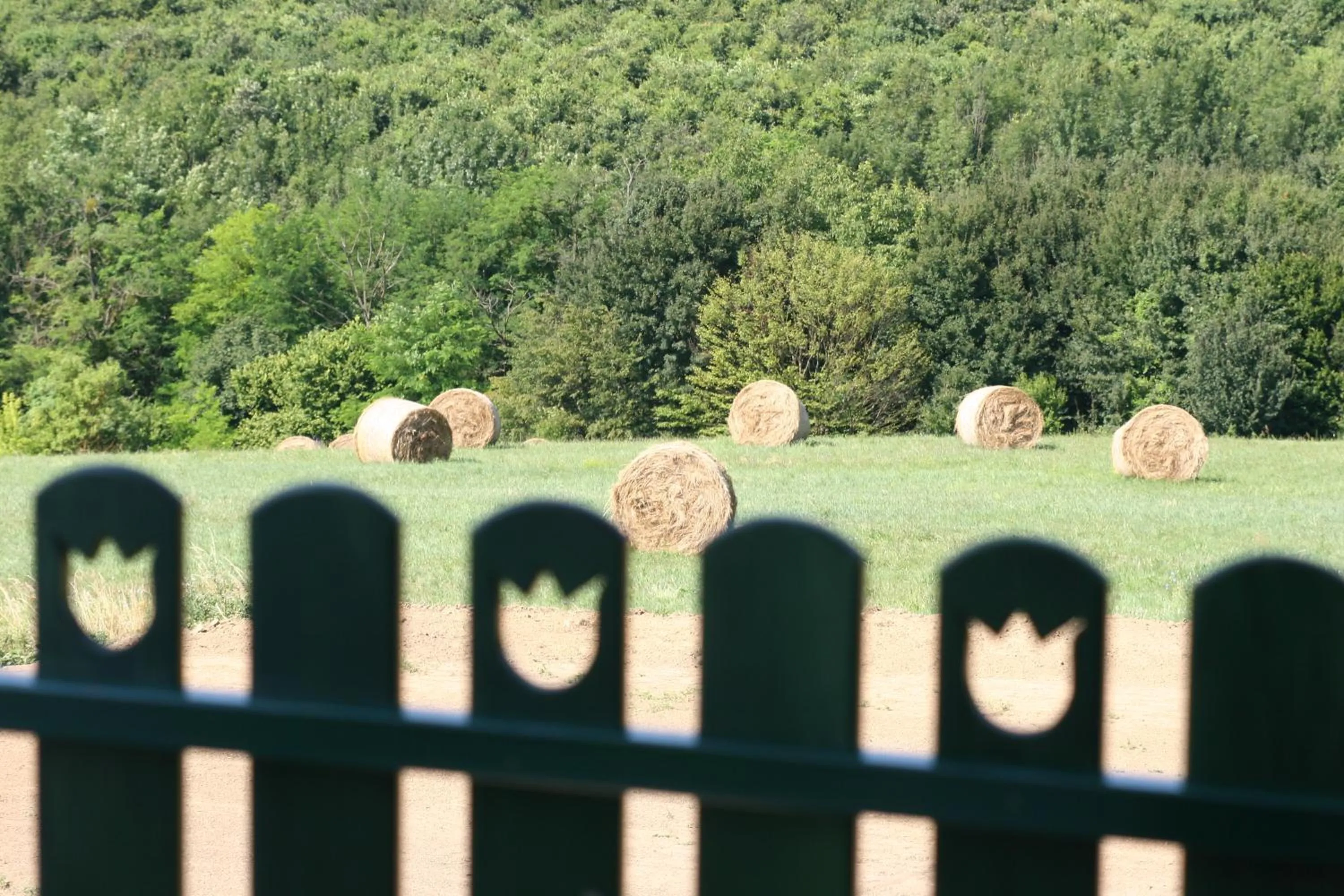 Garden in Pálos Resort