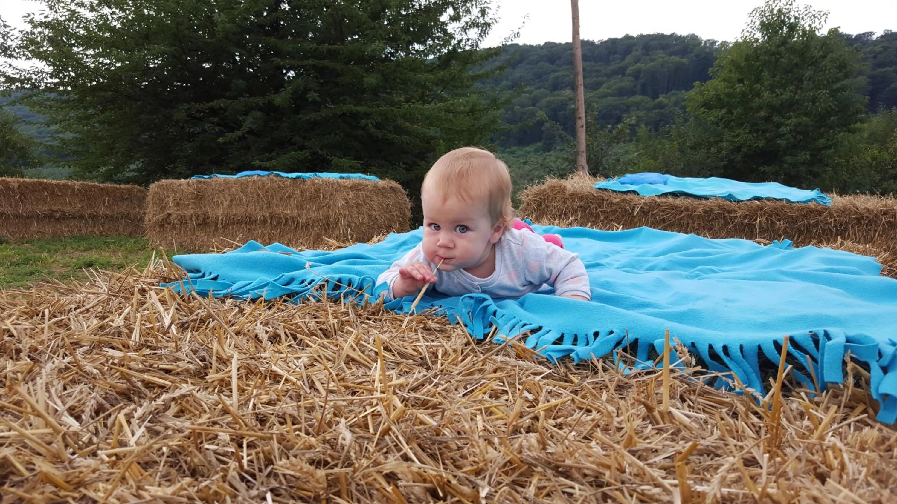 Garden in Pálos Resort