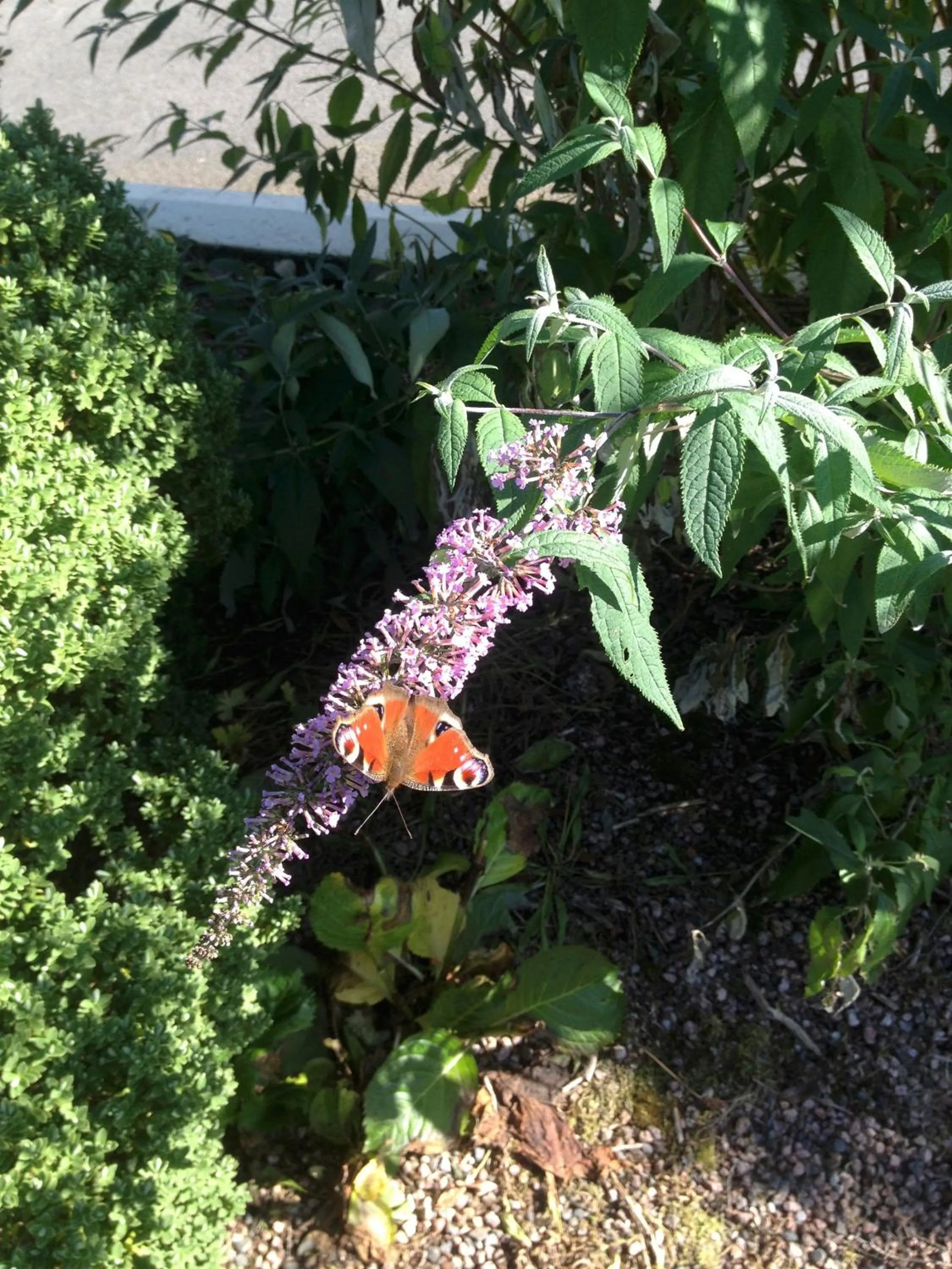 People in The Gap Lodge B&B