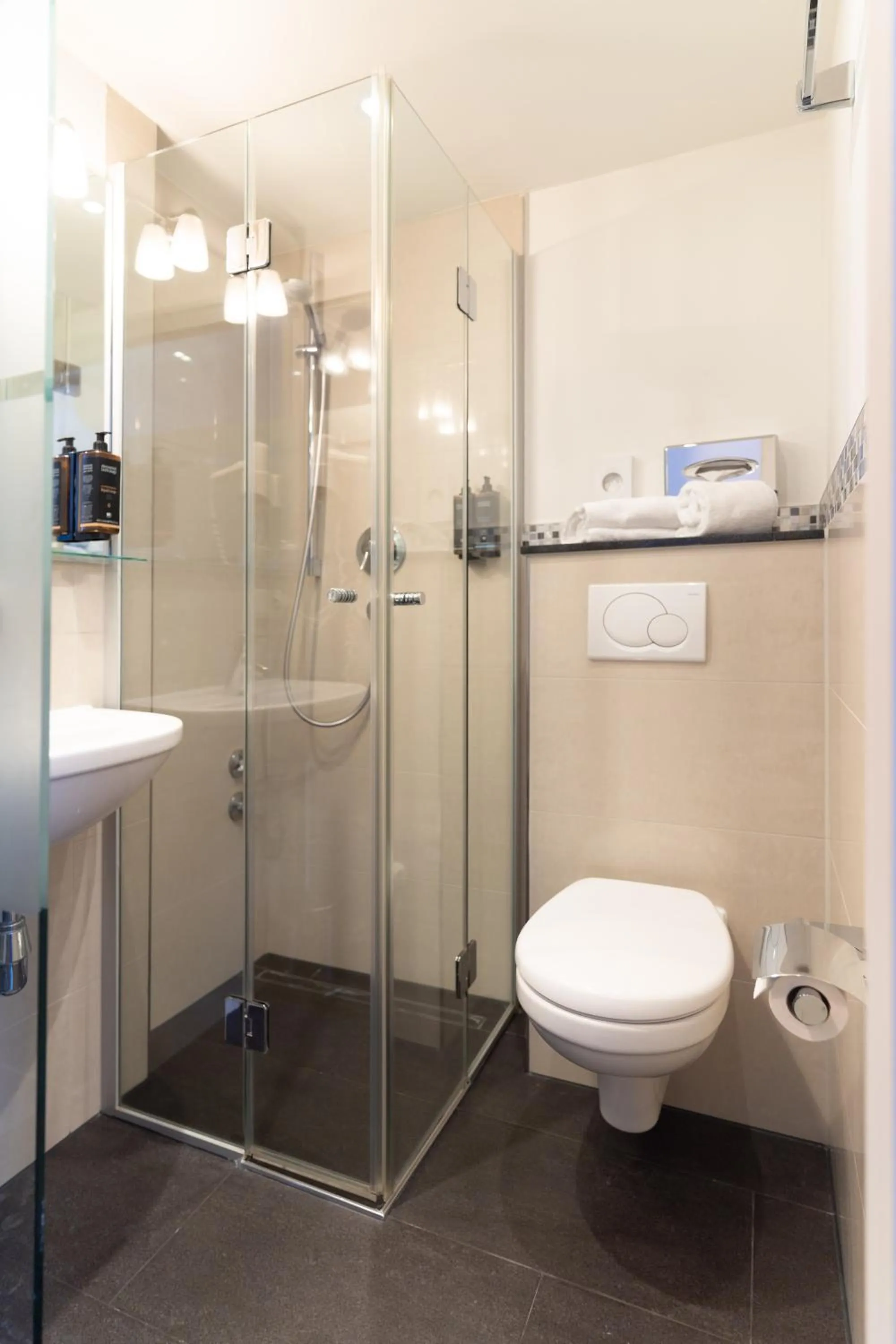 Toilet in Mercure Mainz City Center