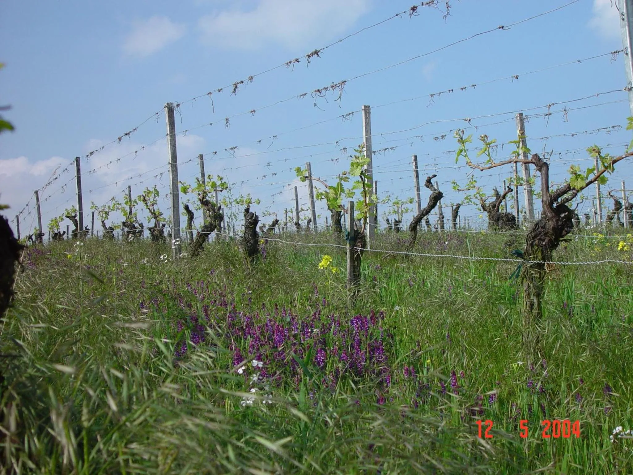 Area and facilities in AKZENT Hotel Am Bach