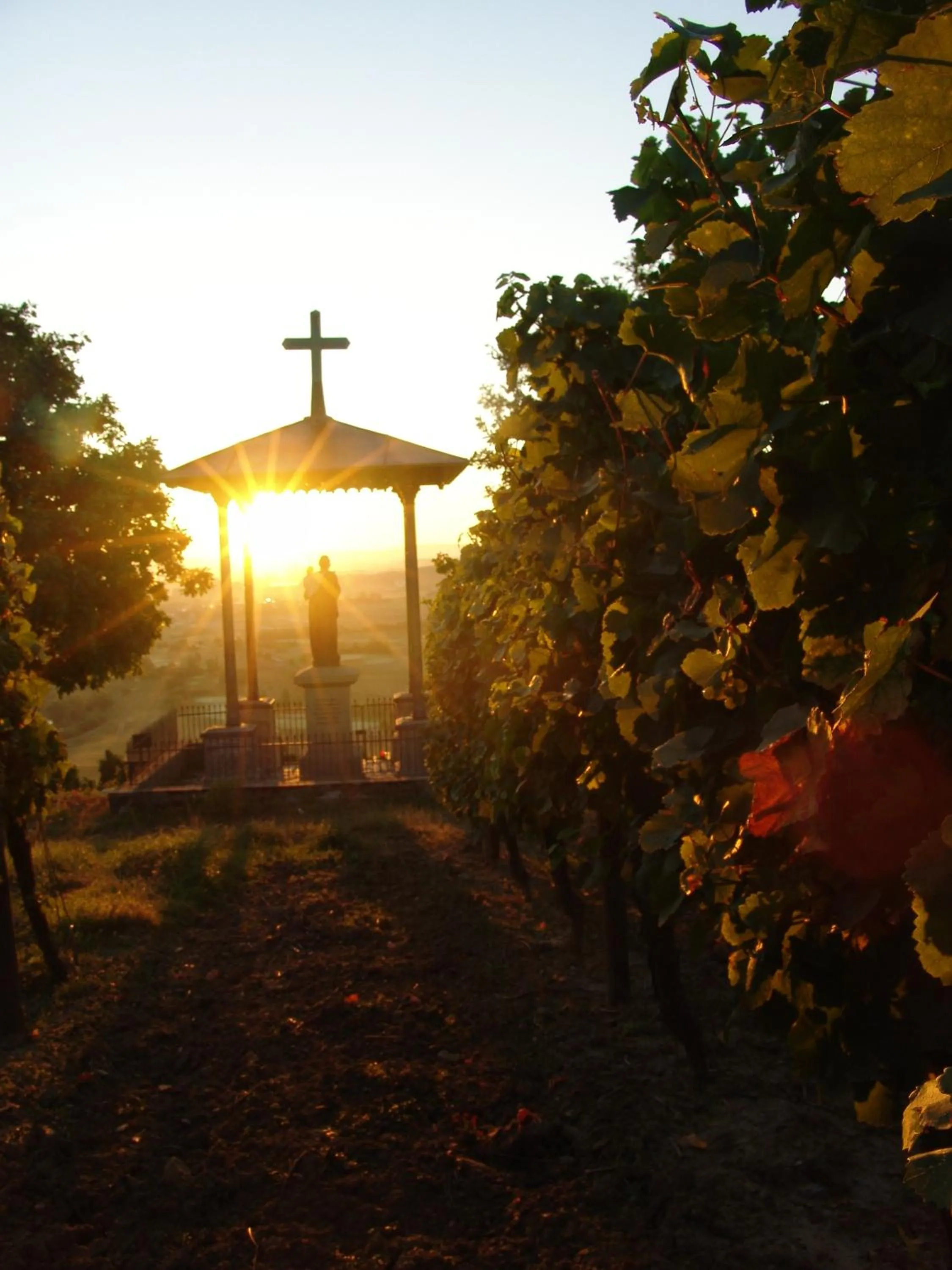 Staff in AKZENT Hotel Franziskaner
