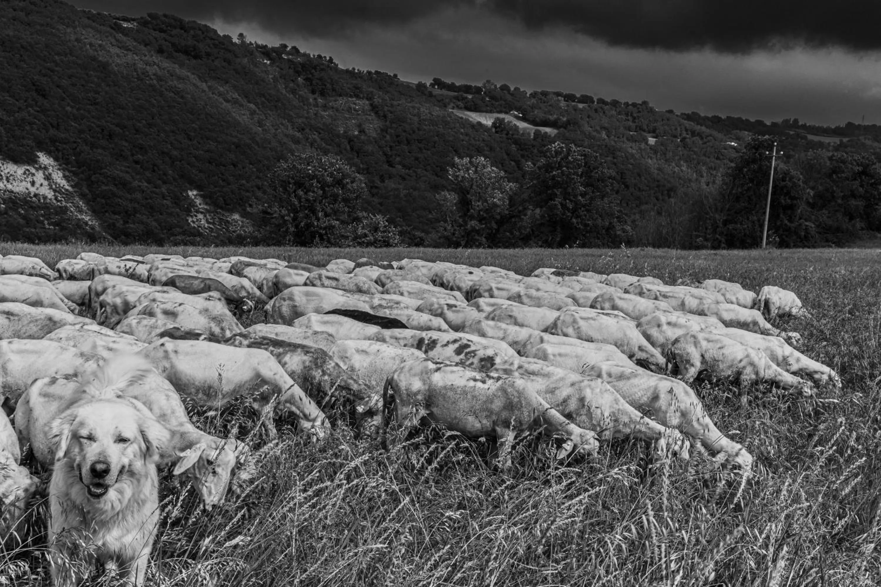 Property building in Tuttaterra