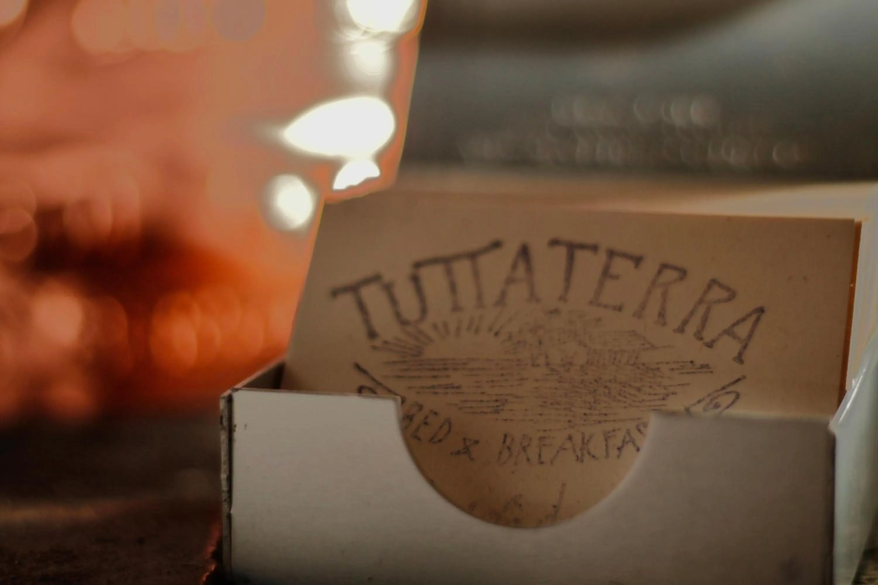 Logo/Certificate/Sign in Tuttaterra