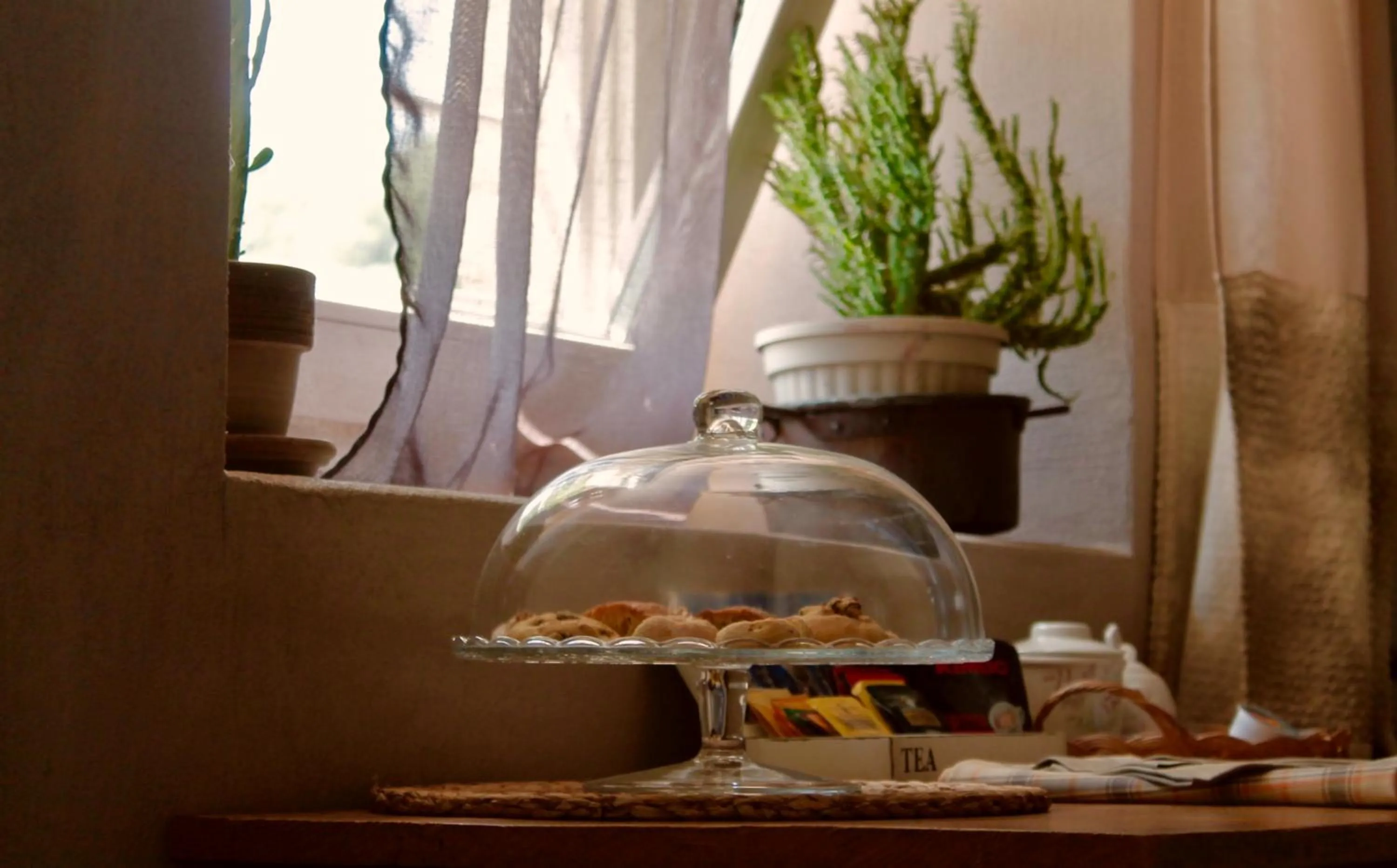 Food and drinks in Tuttaterra