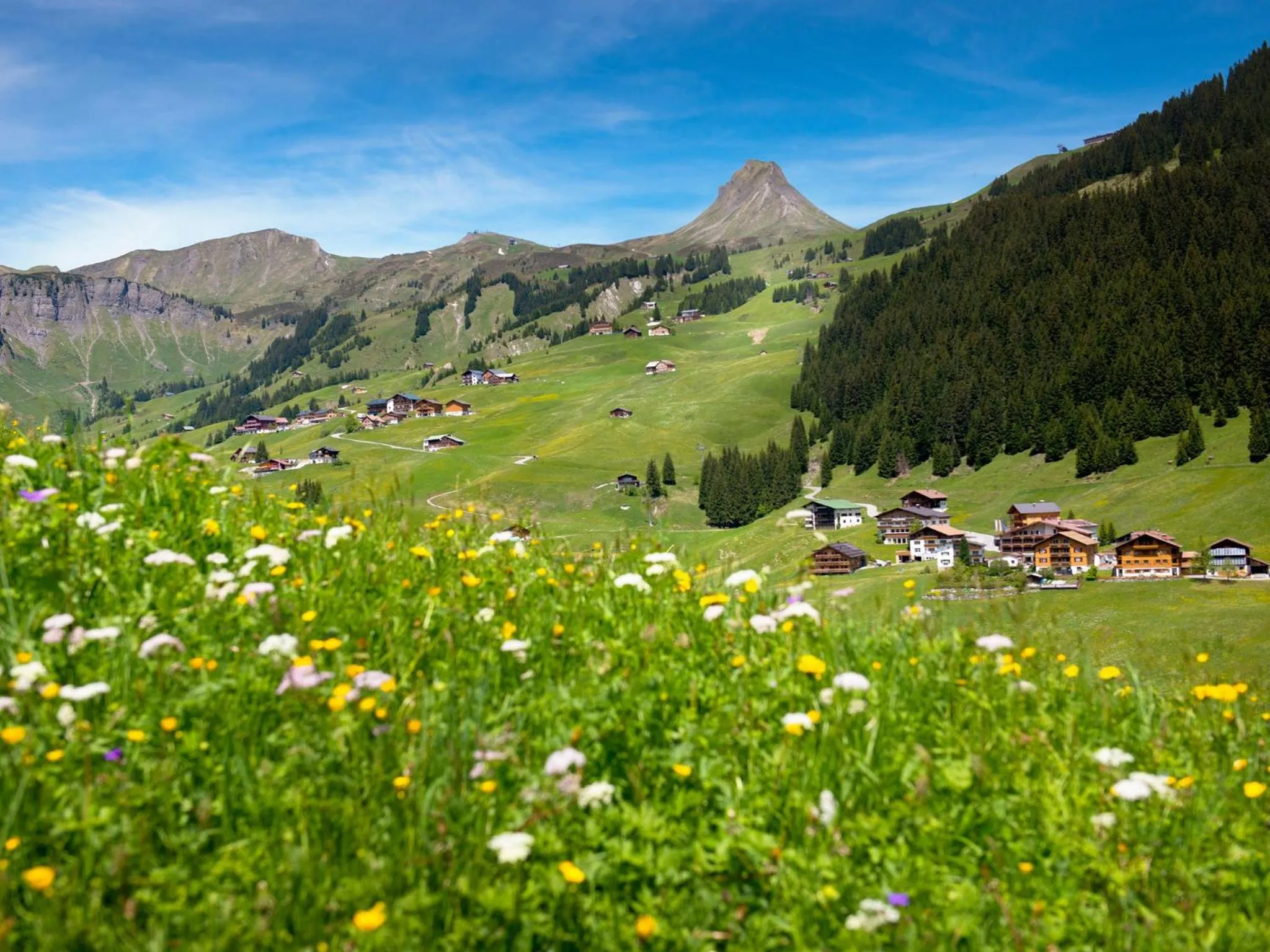 Natural landscape in Boutiquehotel Hohes Licht