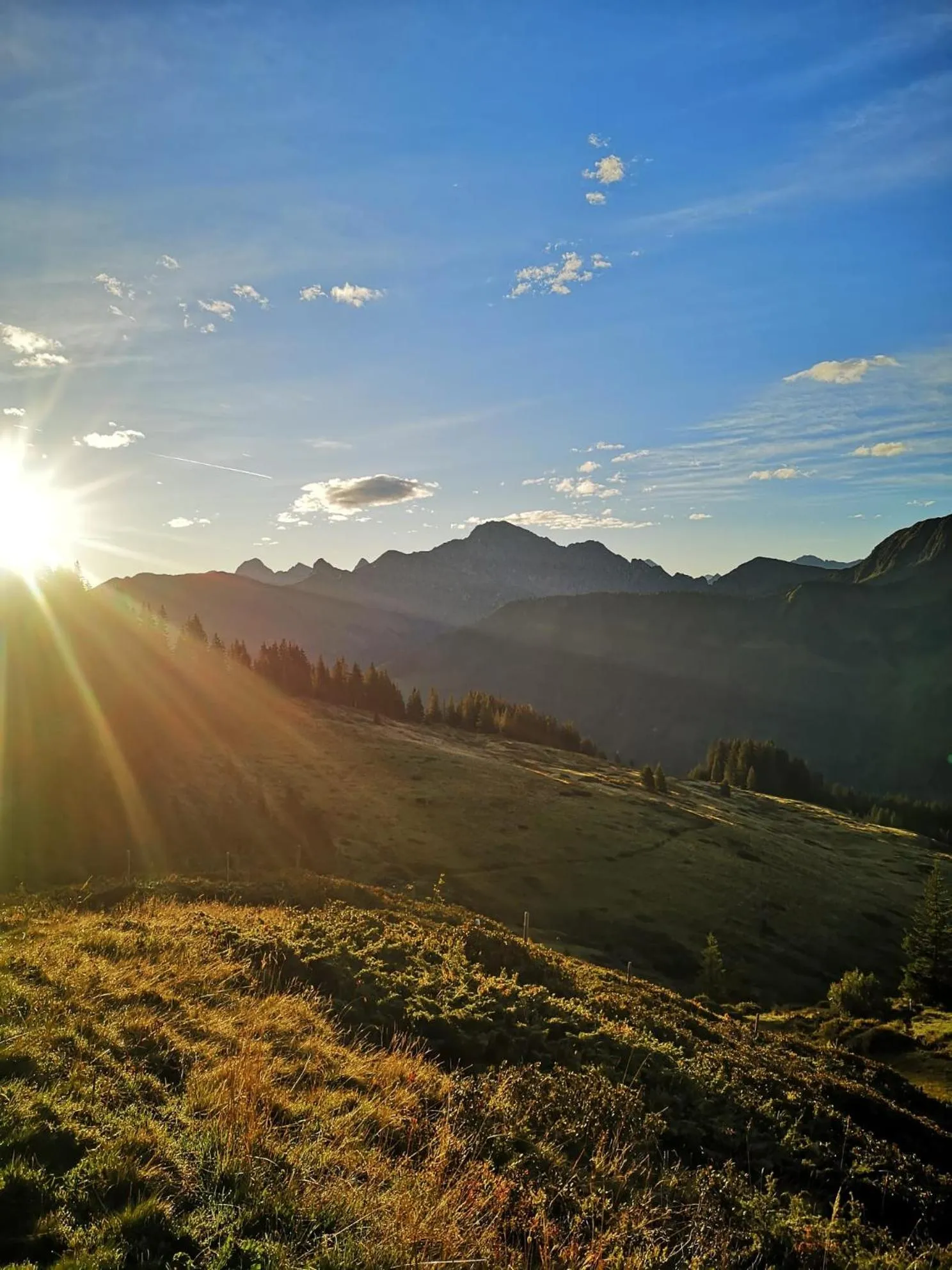Area and facilities in Boutiquehotel Hohes Licht