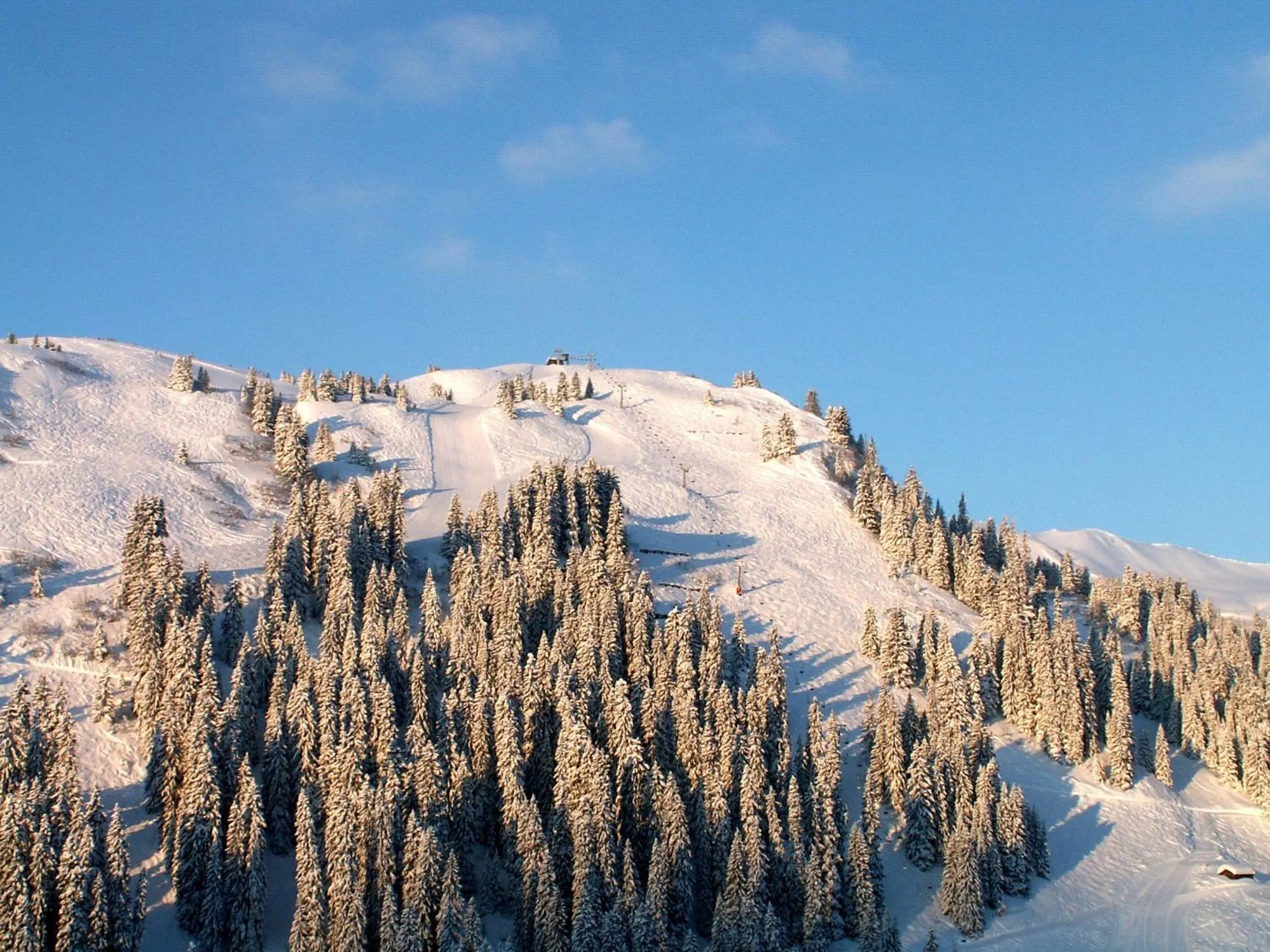 Skiing in Boutiquehotel Hohes Licht