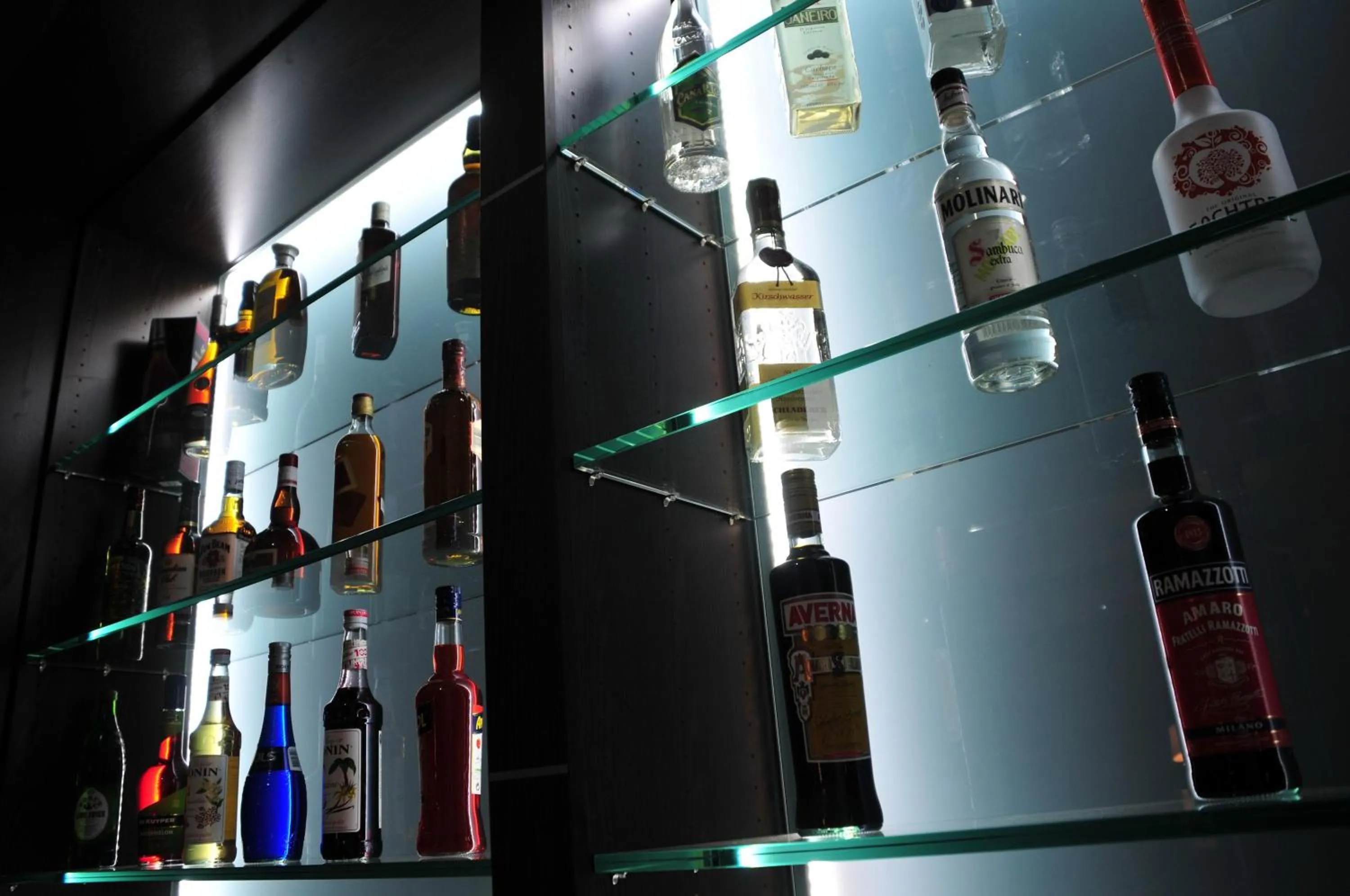 Lounge or bar in Hotel Rheingarten