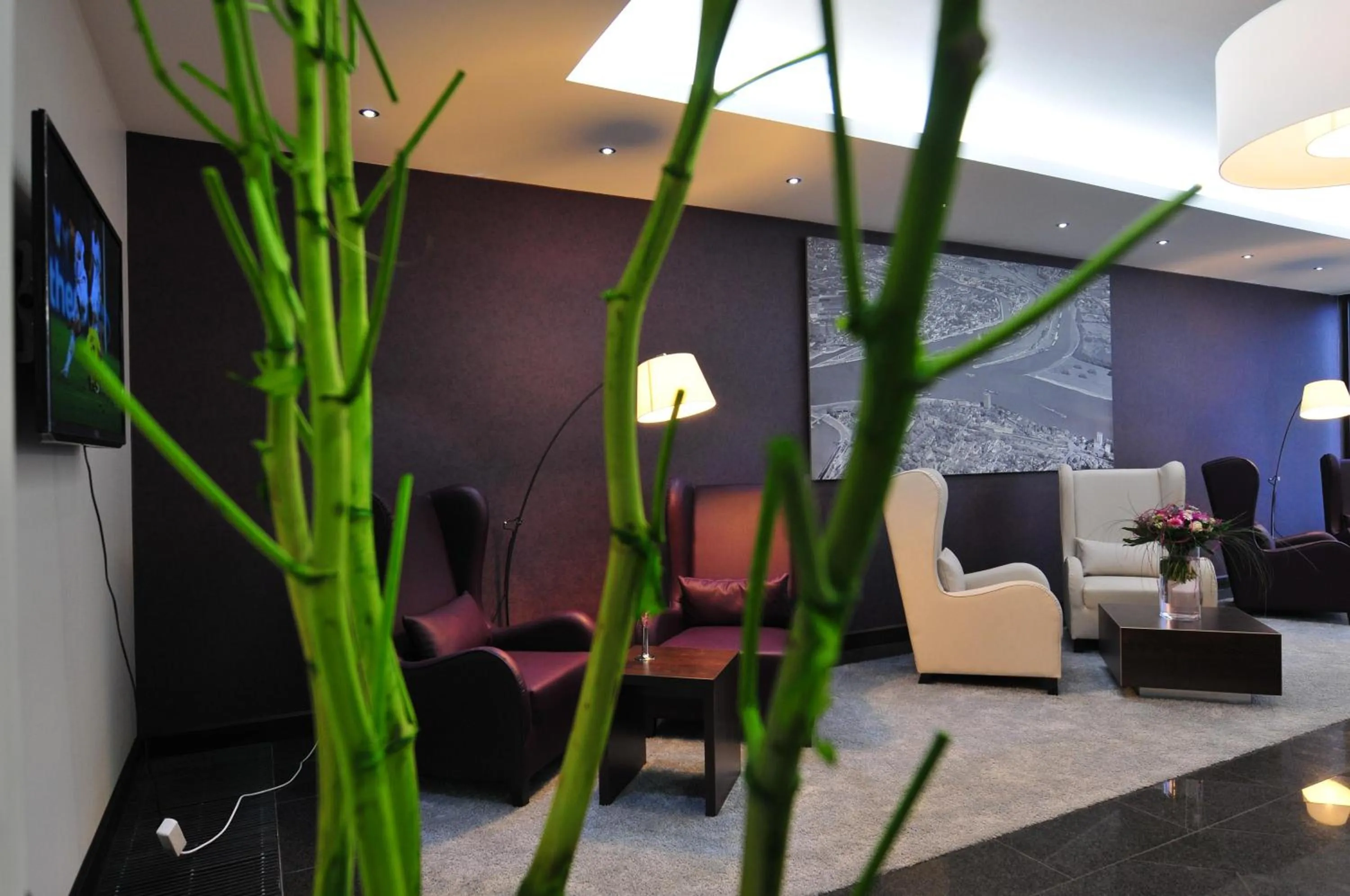 Communal lounge/ TV room in Hotel Rheingarten