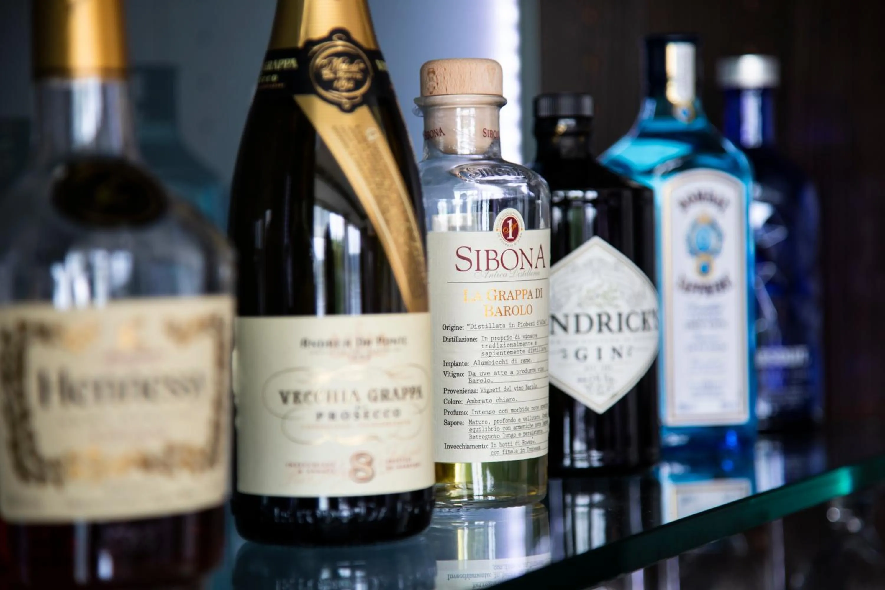 Lounge or bar in Hotel Rheingarten