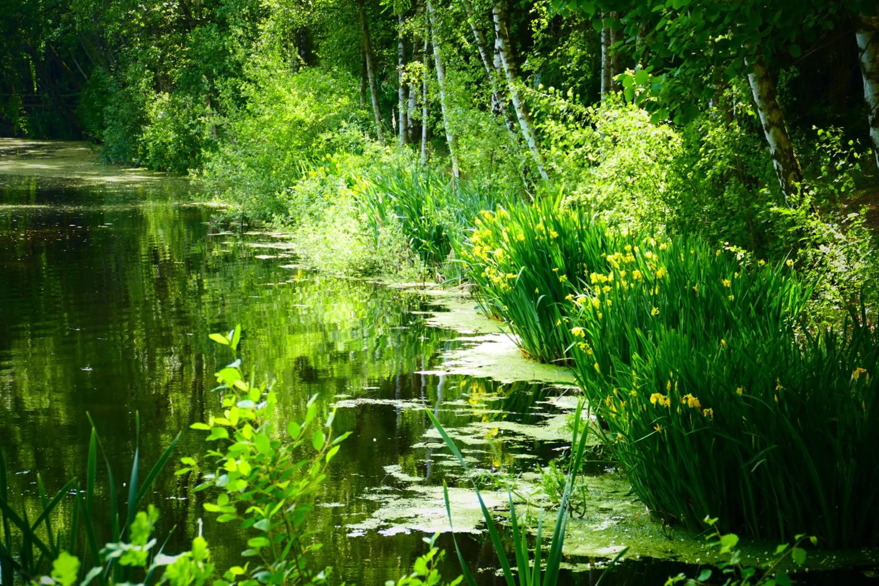 Neighbourhood in Hotel Heide Kröpke