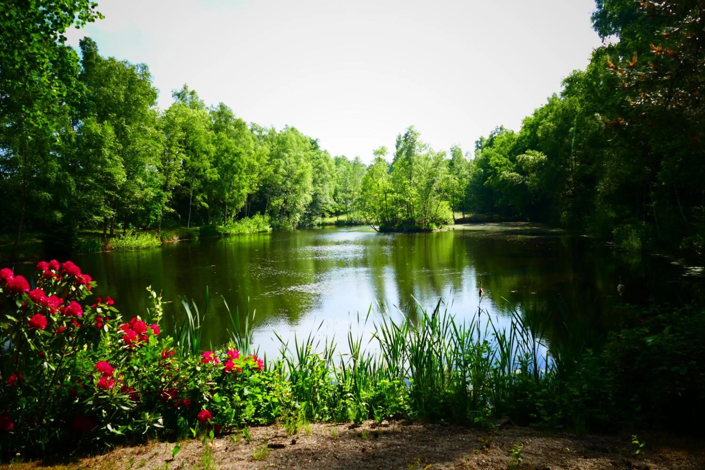 Area and facilities in Hotel Heide Kröpke
