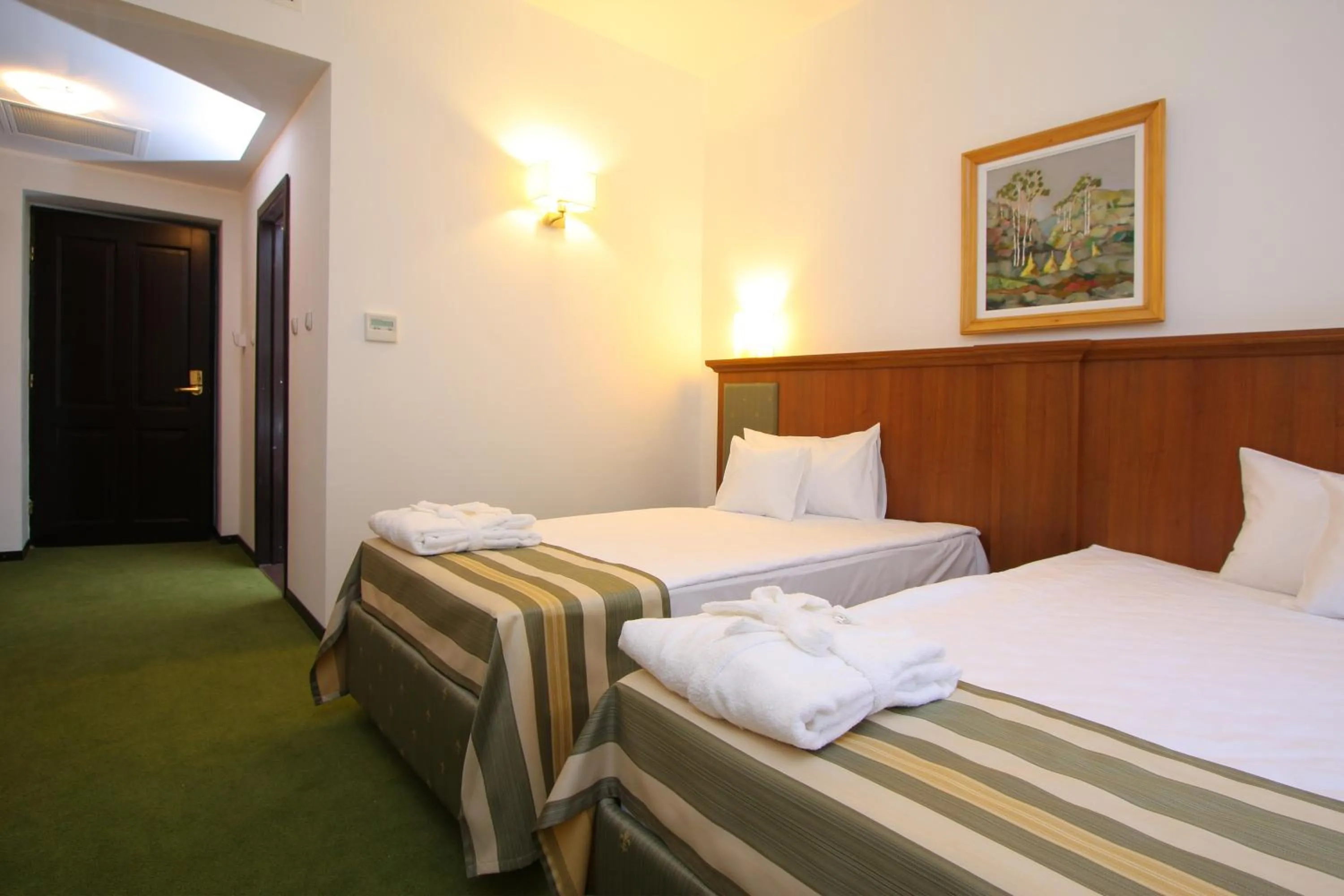 Photo of the whole room in Hotel Palace