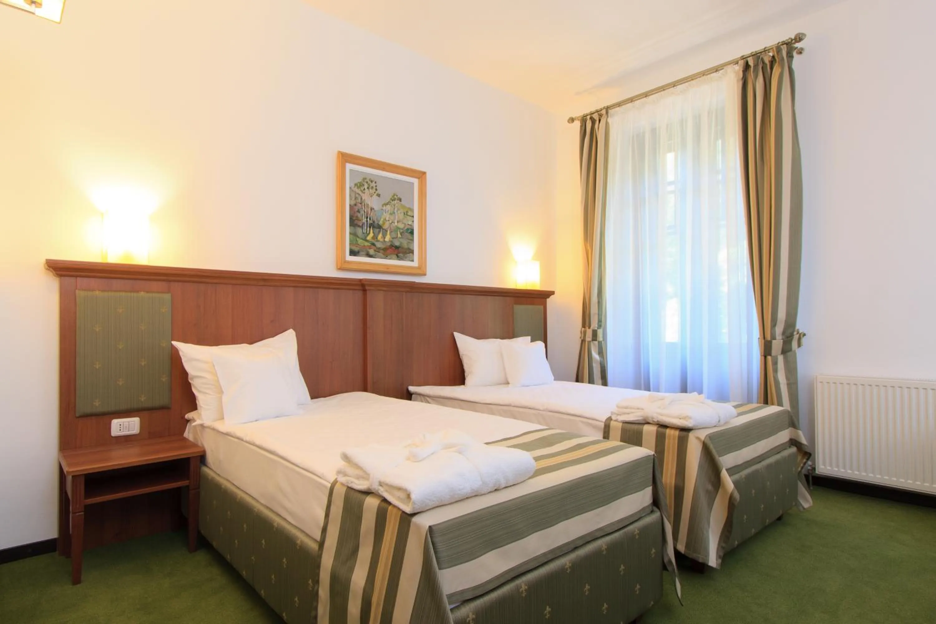 Photo of the whole room in Hotel Palace